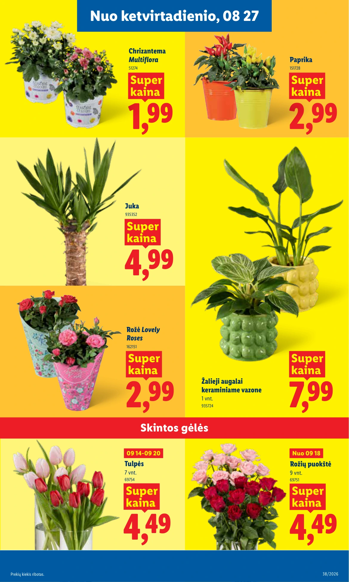 Flyer page 5