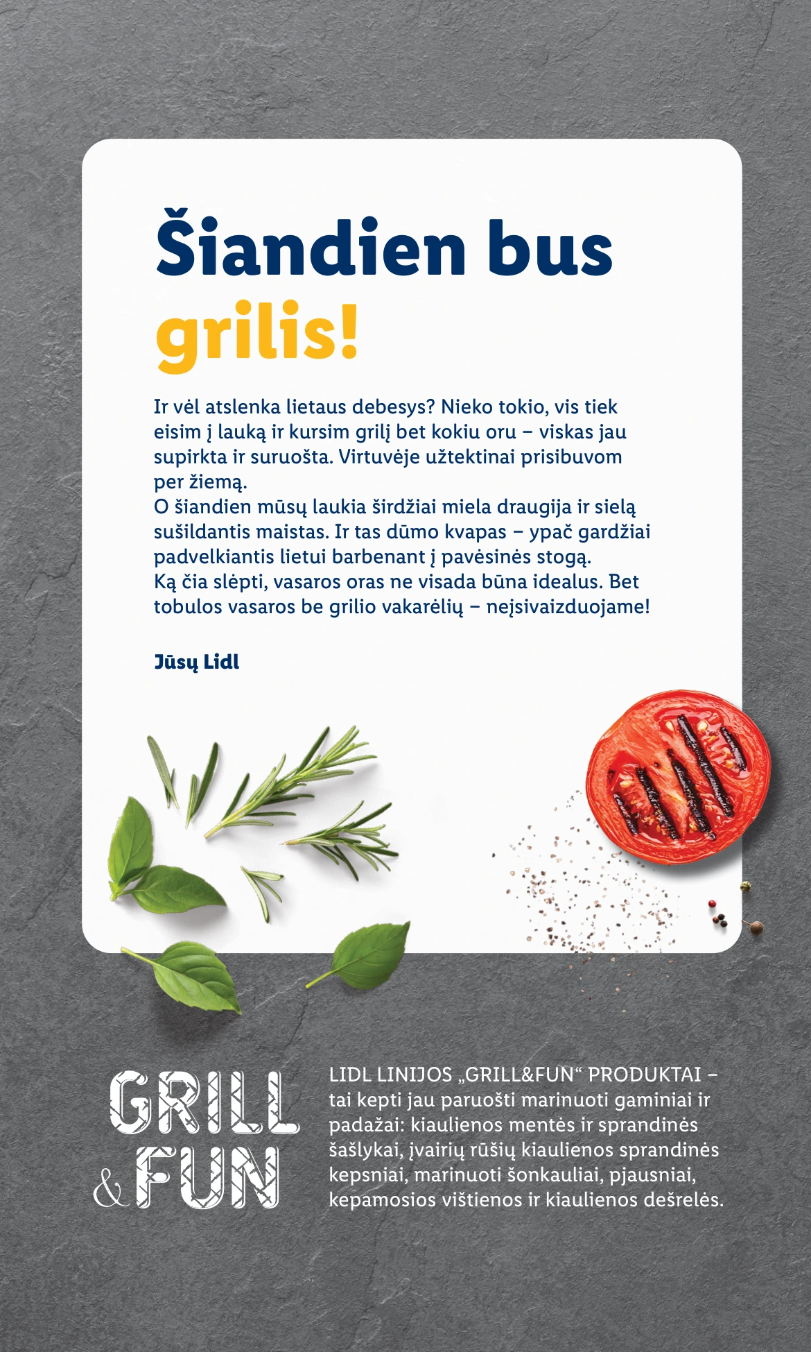 Flyer page 2