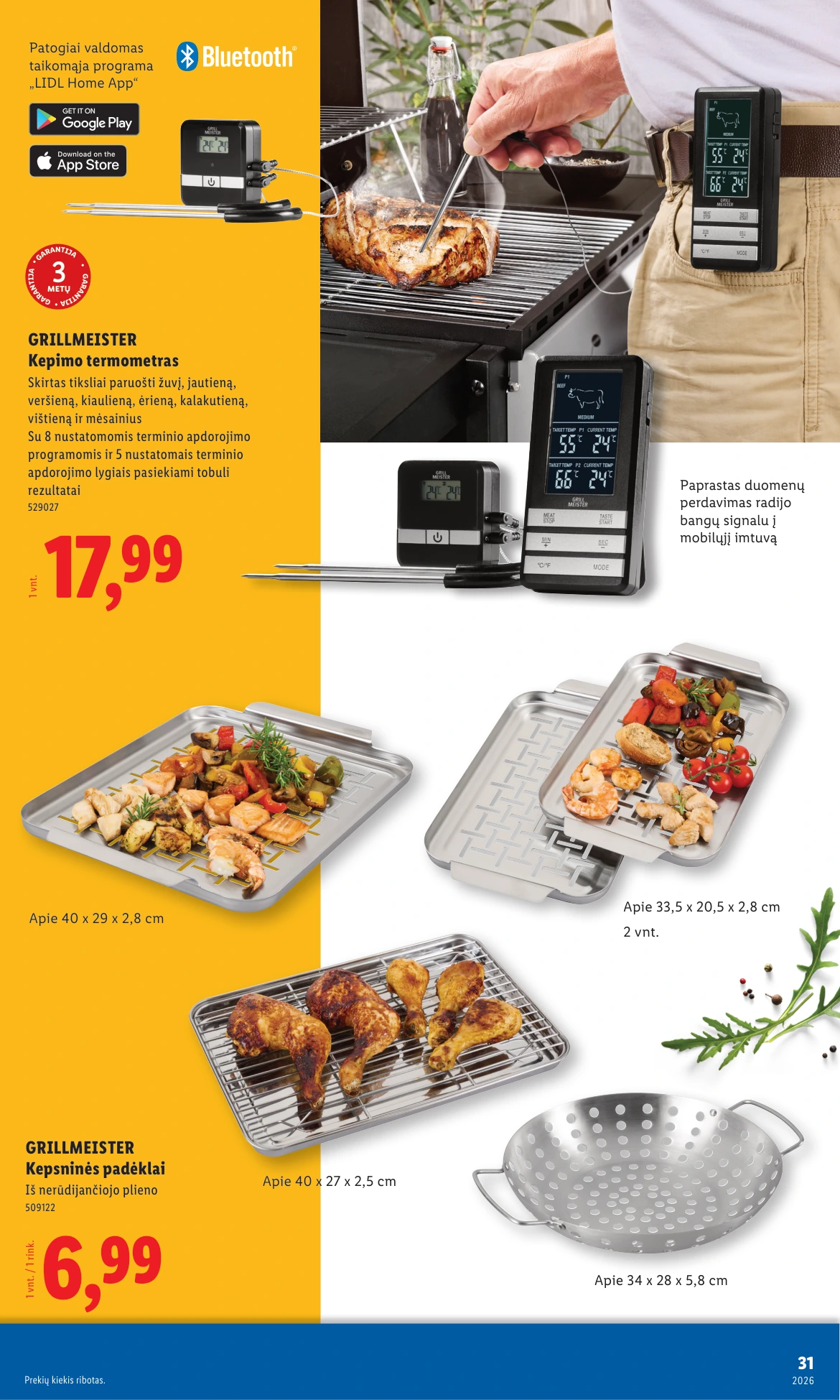 Flyer page 31