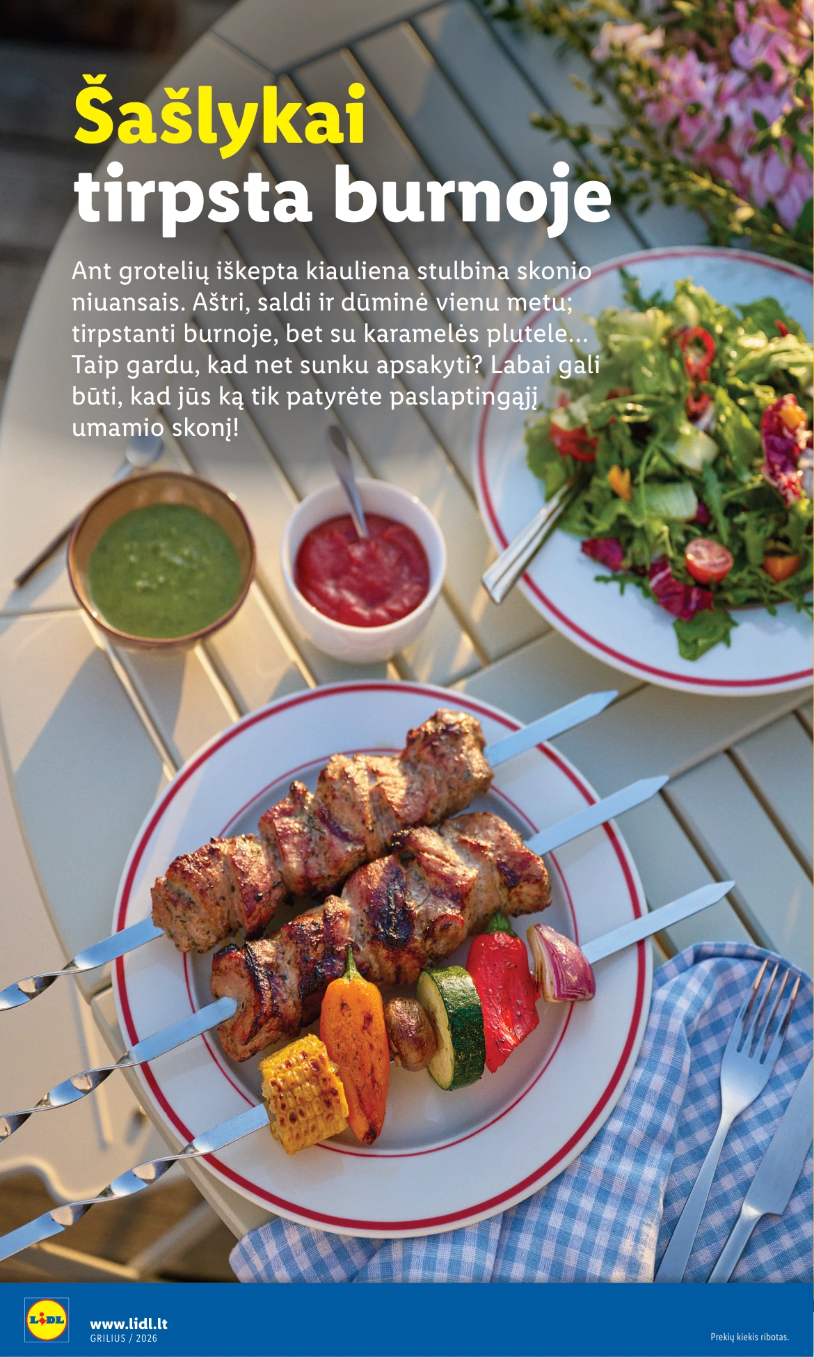 Flyer page 8