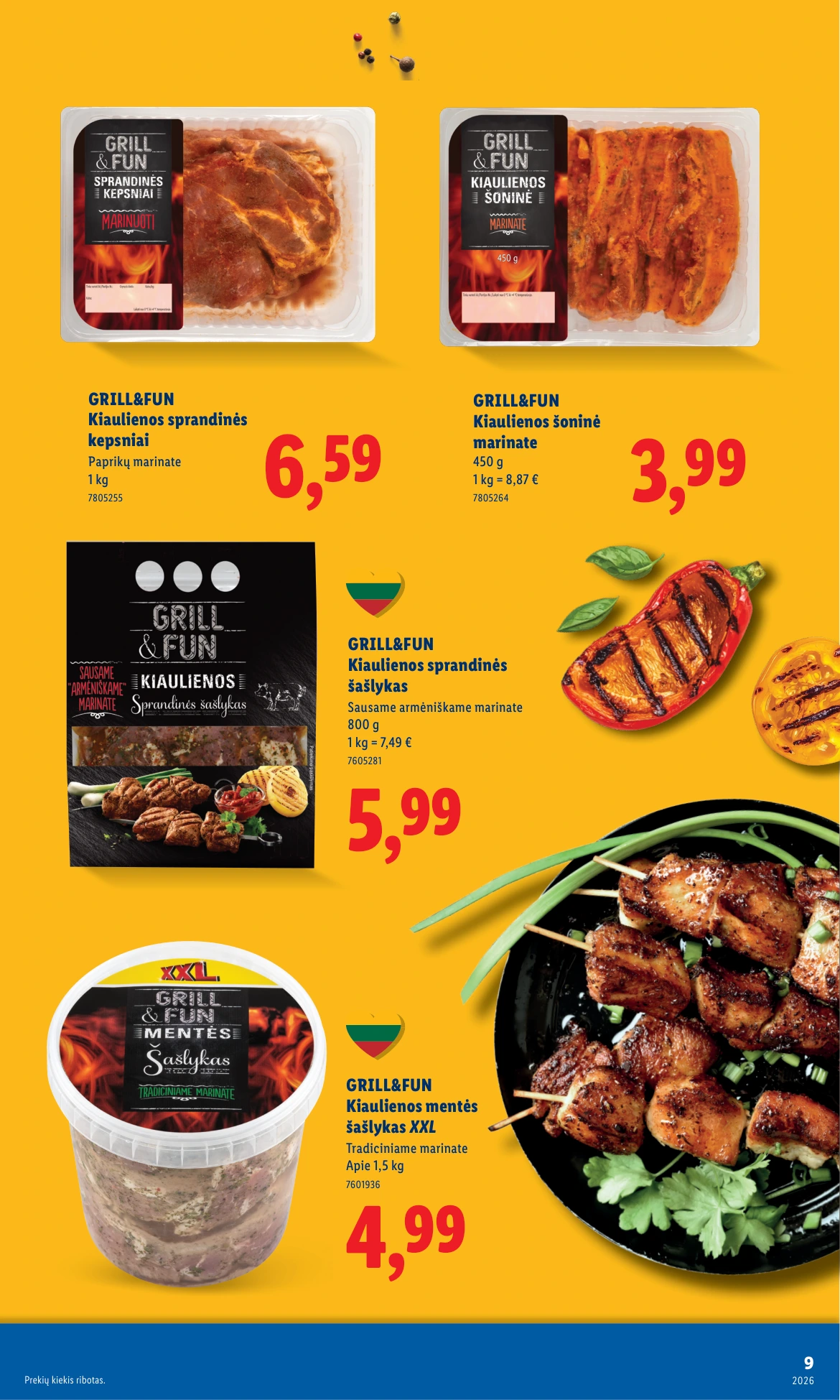 Flyer page 9