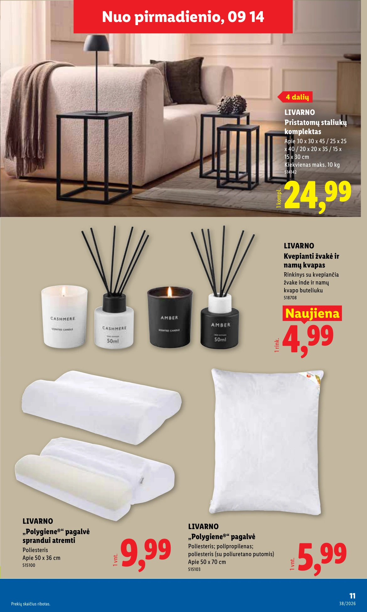 Flyer page 11
