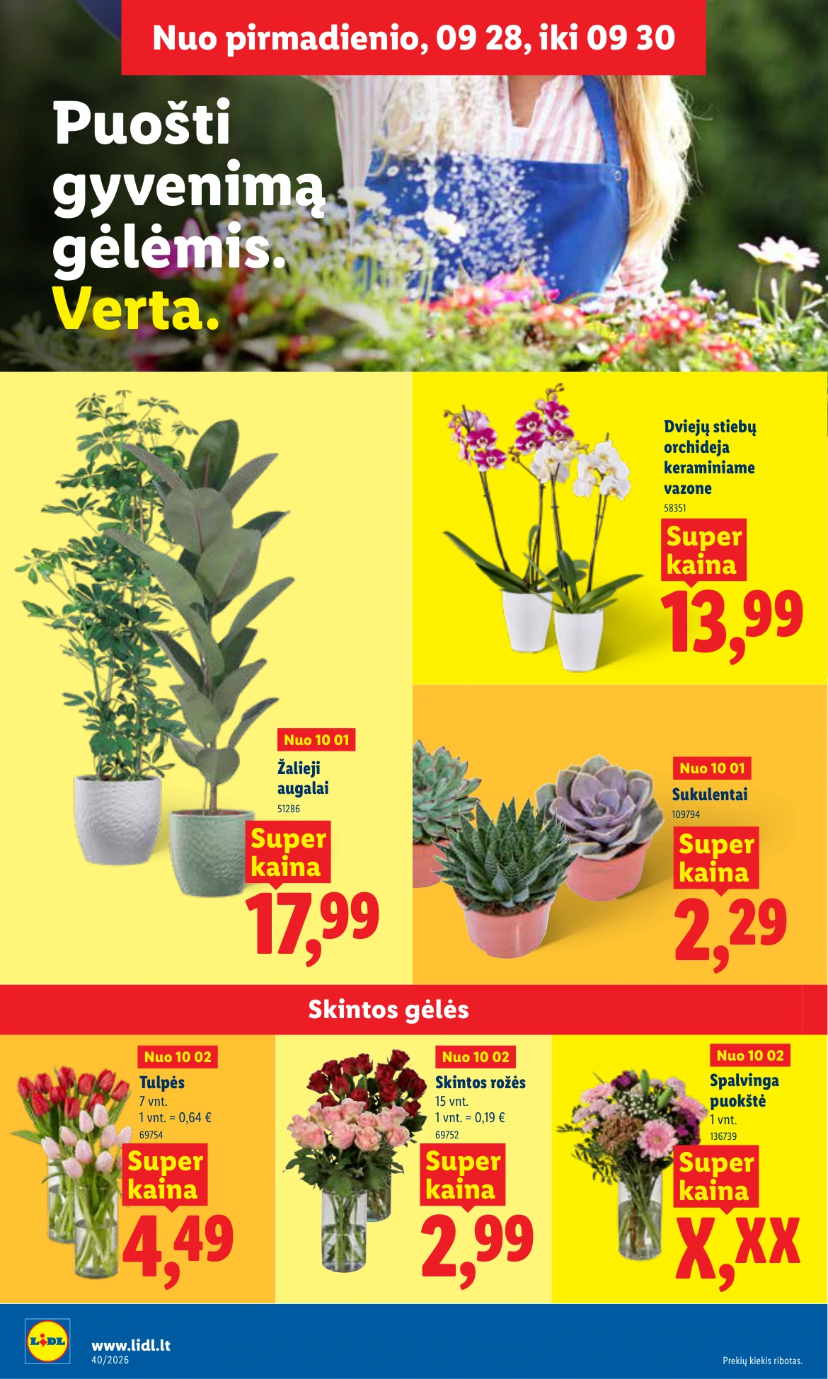 Flyer page 26
