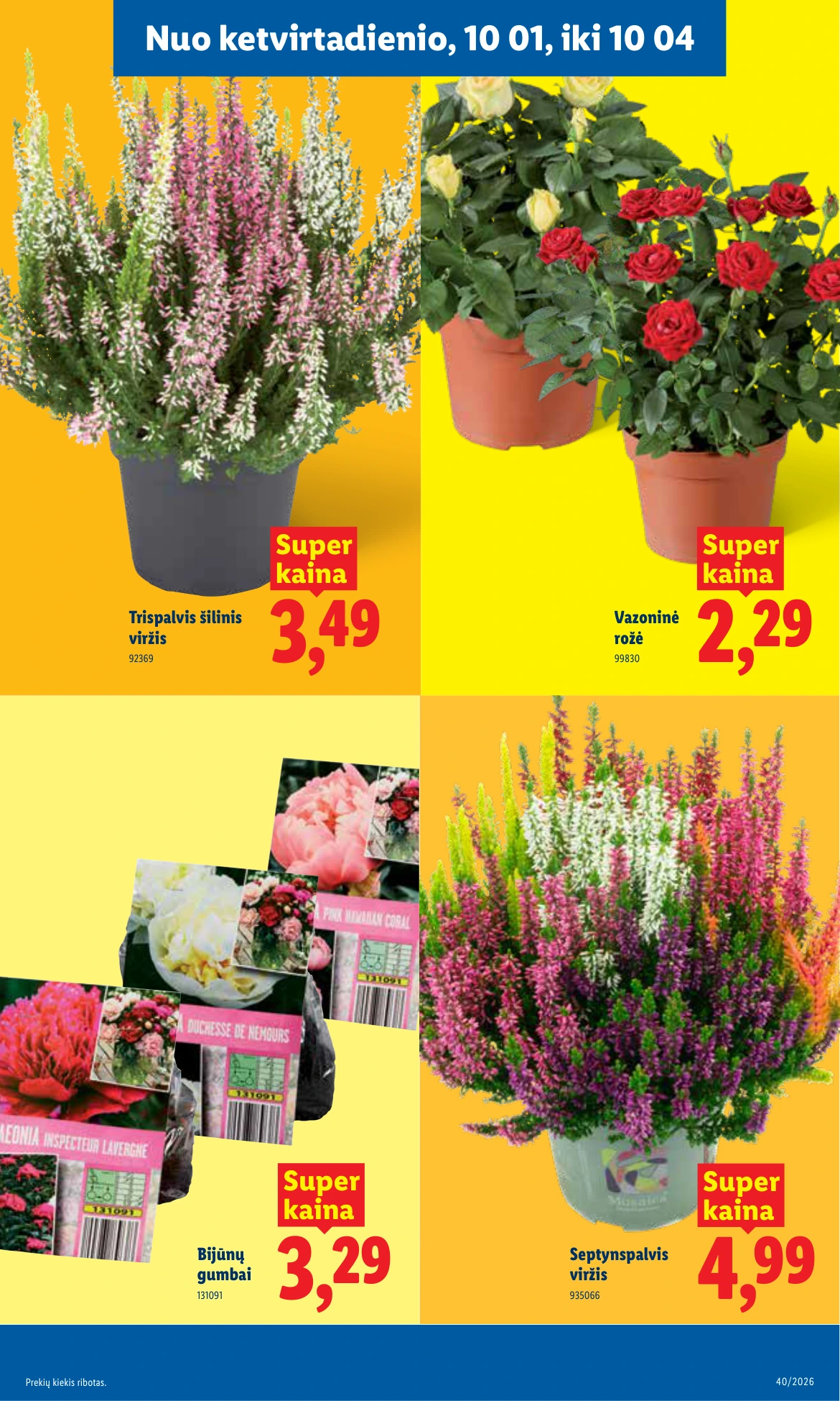 Flyer page 27