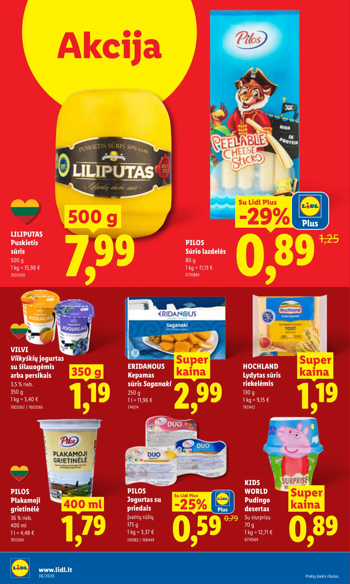 Flyer page 10