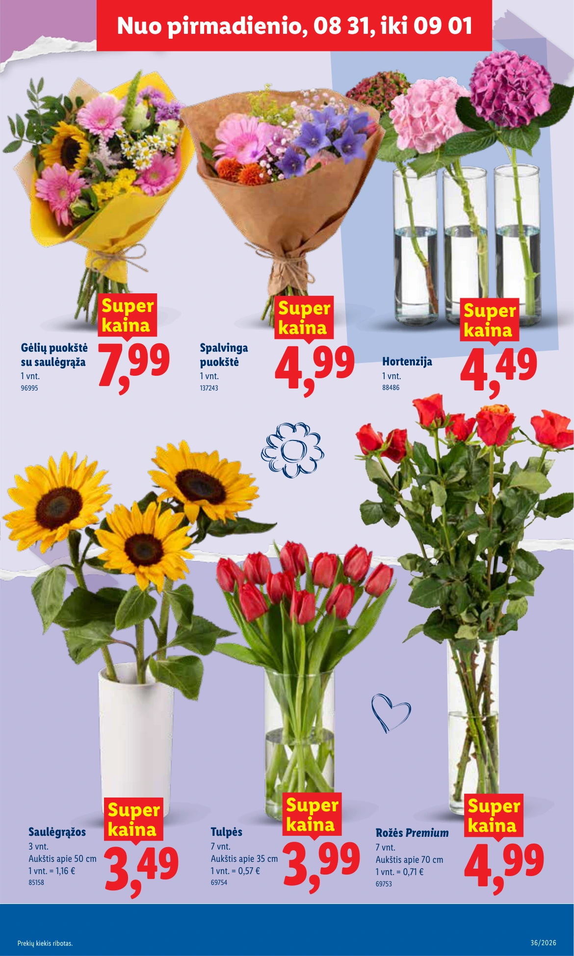 Flyer page 3