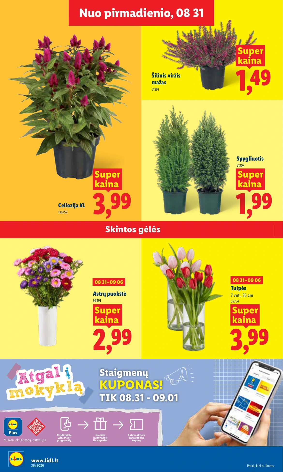 Flyer page 6