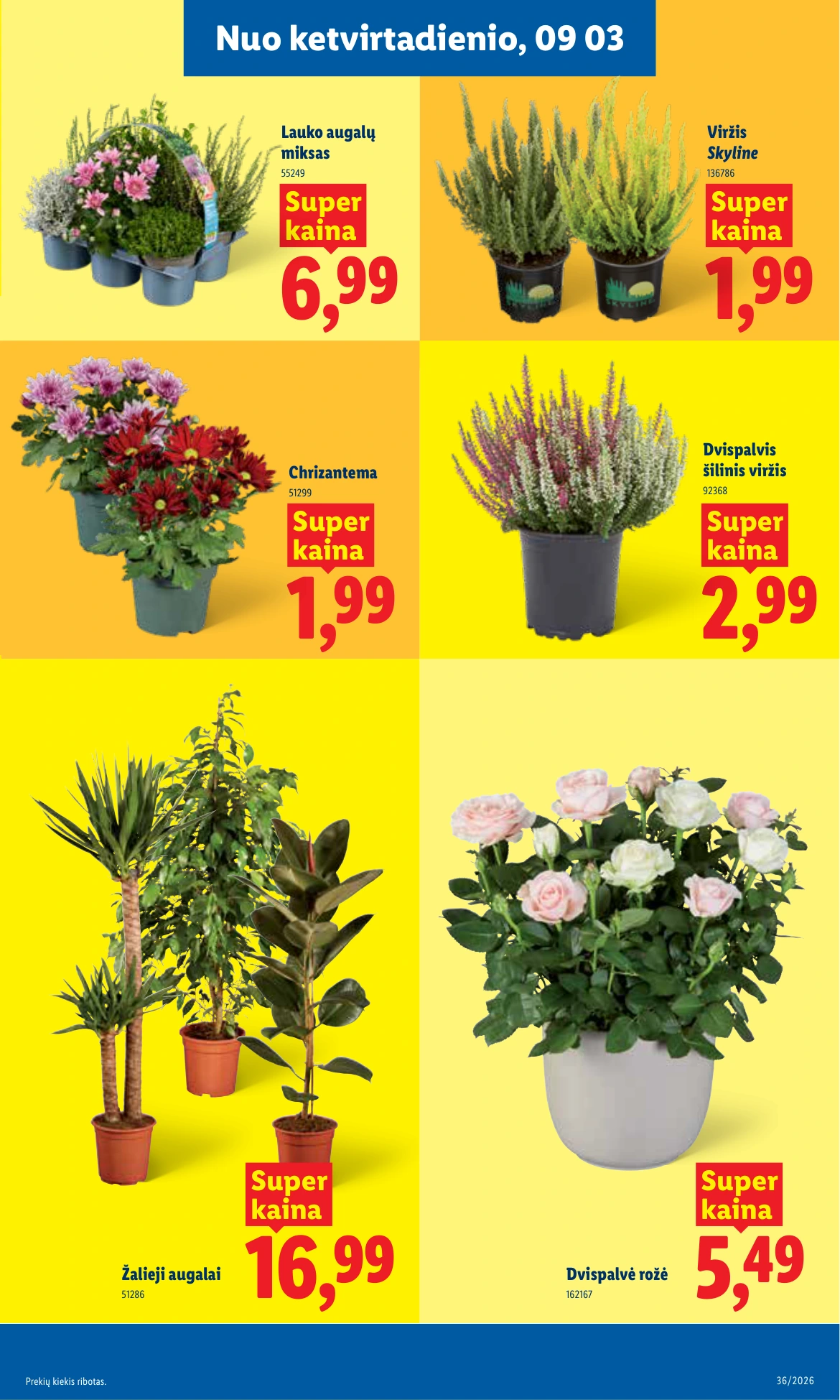 Flyer page 7