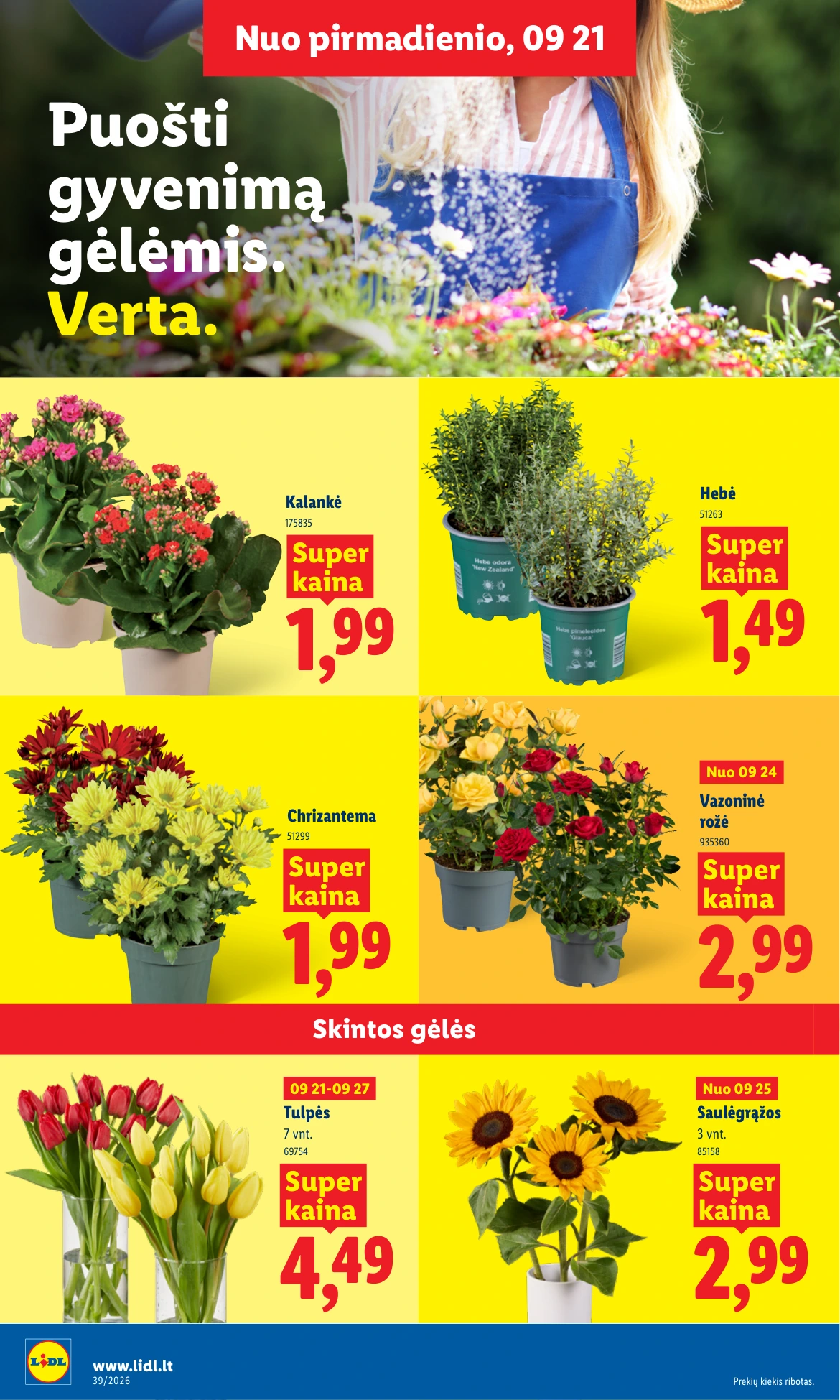 Flyer page 16