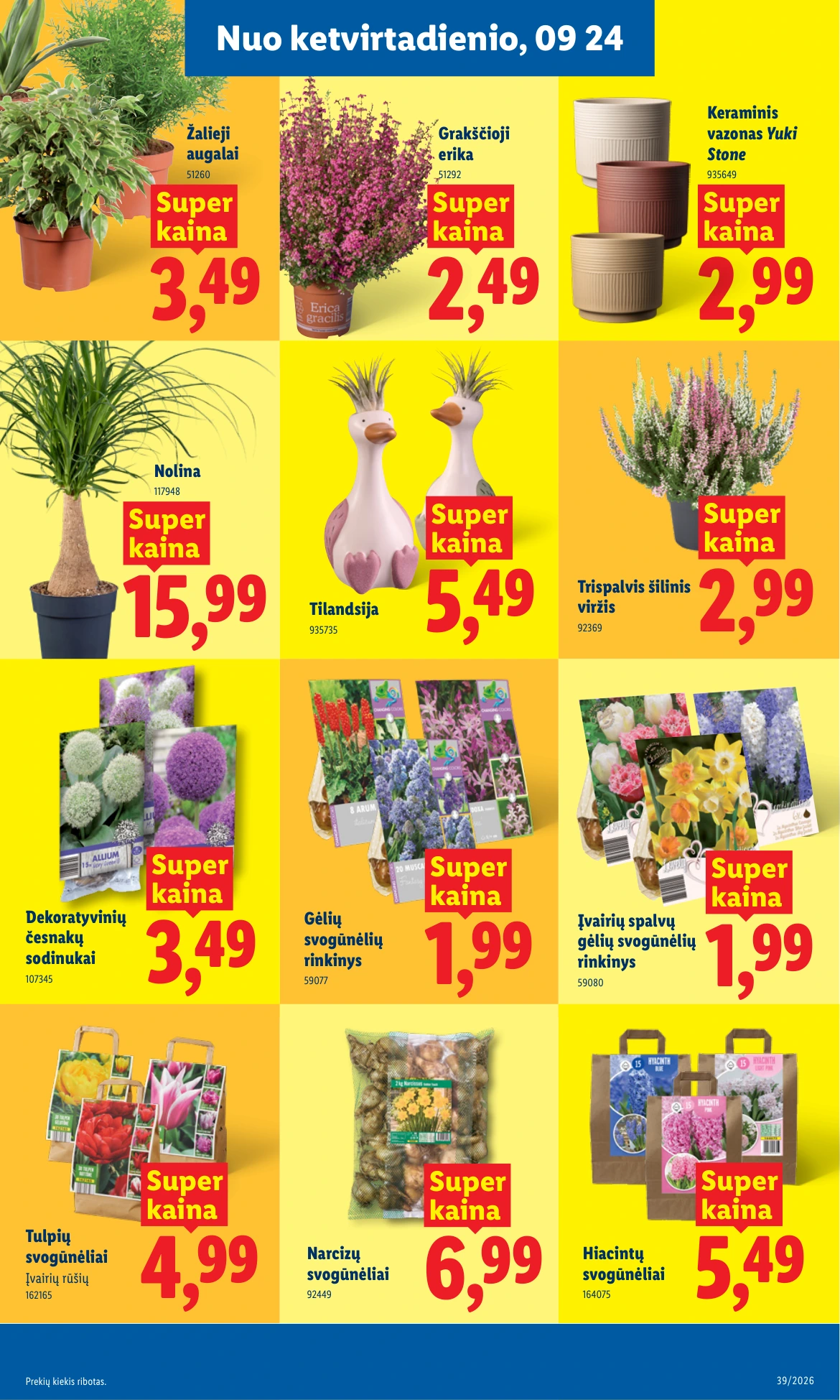 Flyer page 17