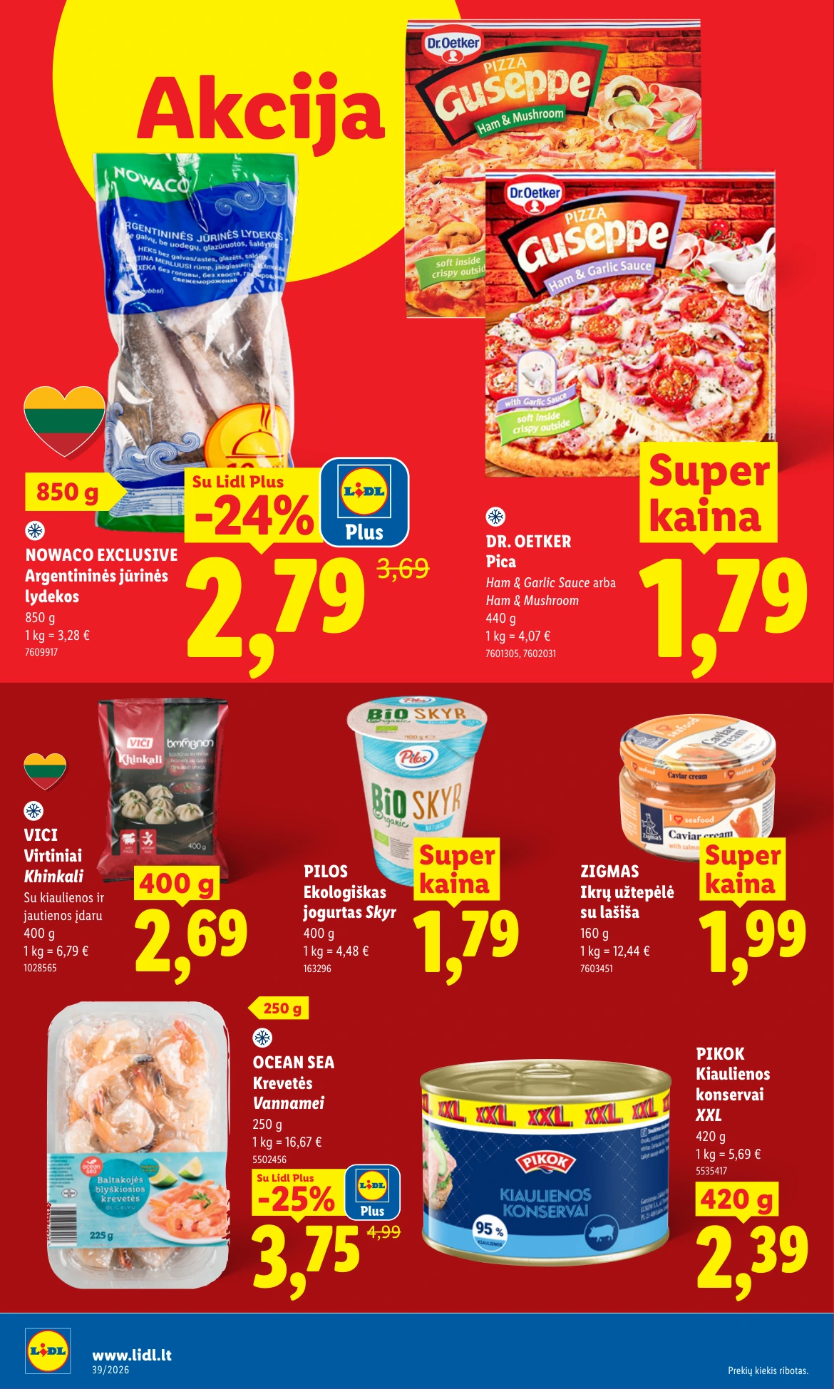 Flyer page 8