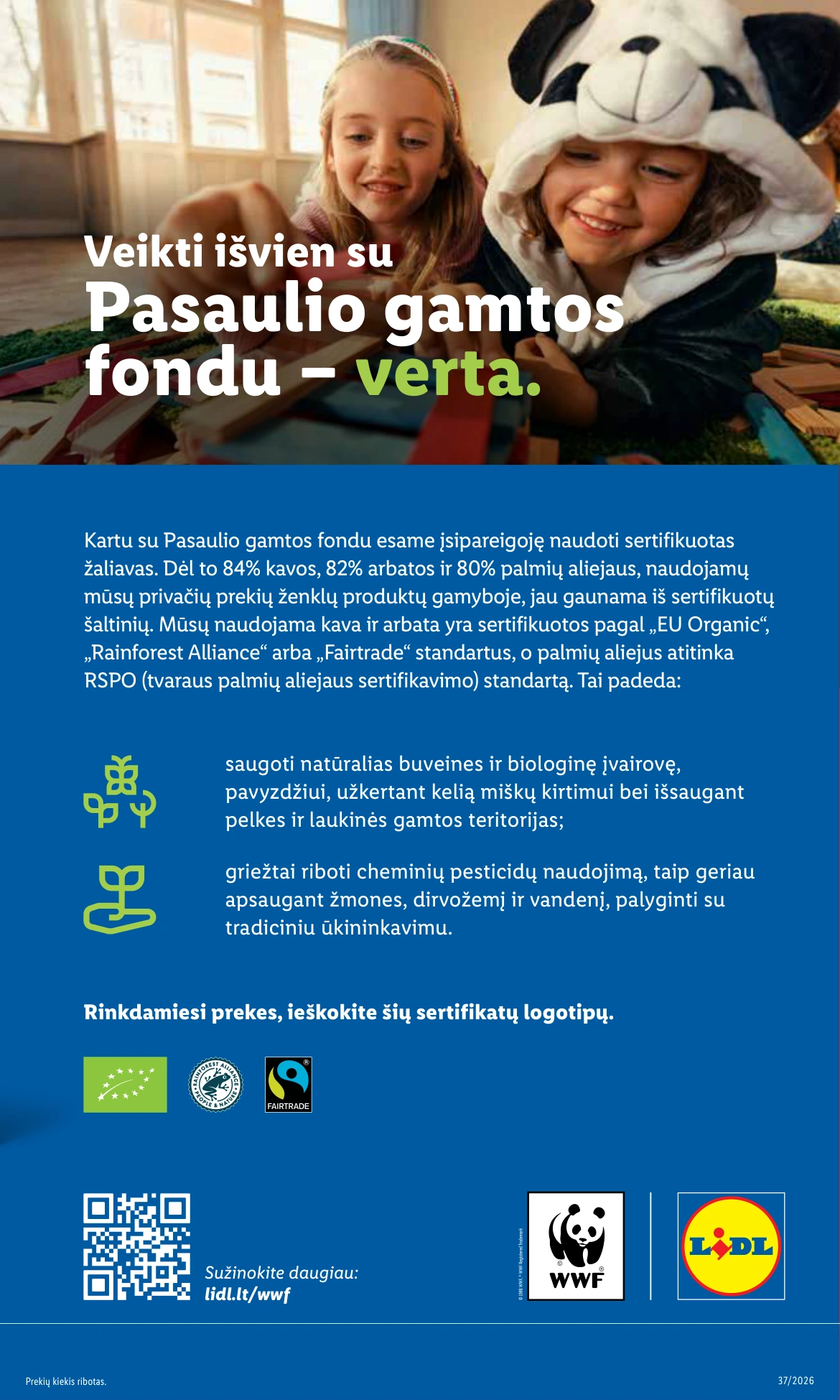 Flyer page 17
