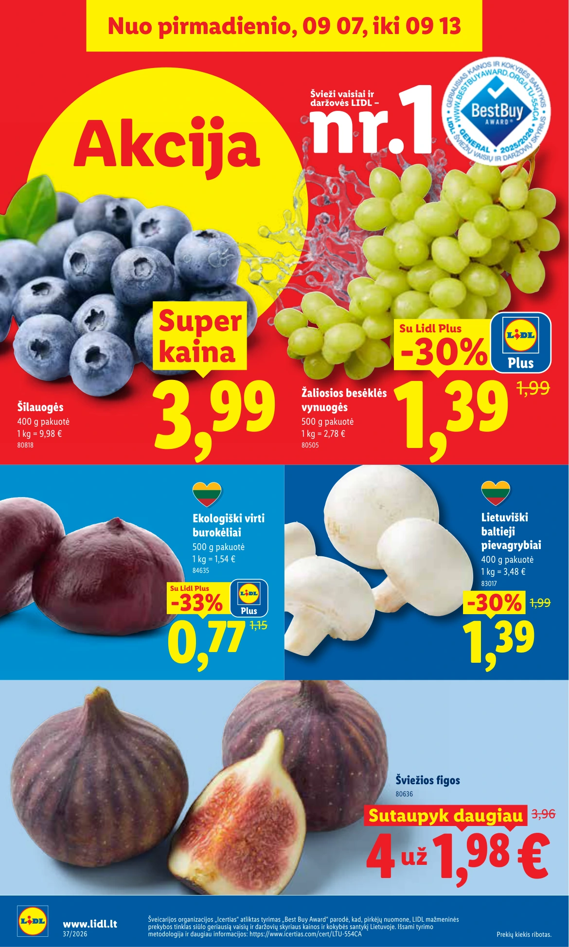 Flyer page 2