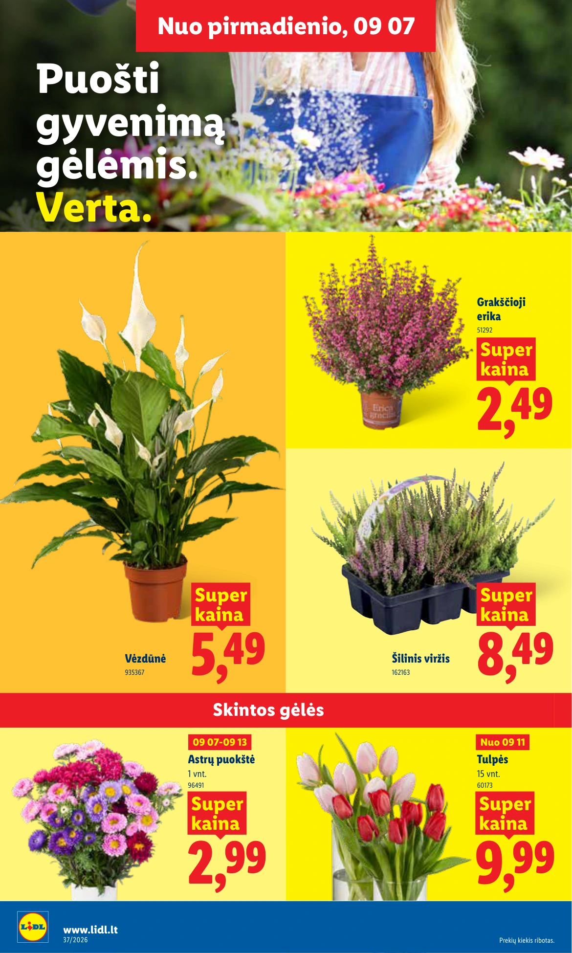 Flyer page 20