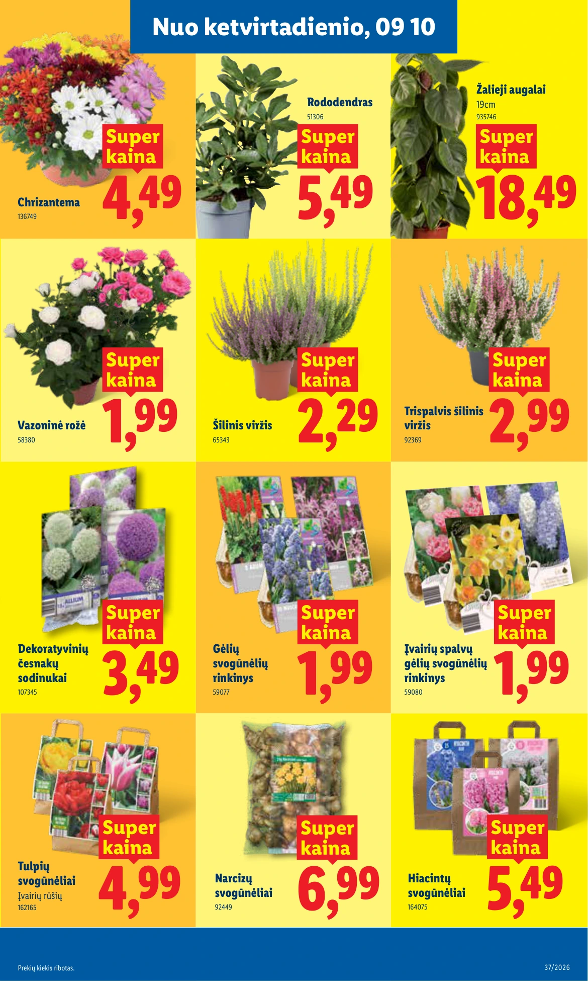 Flyer page 21