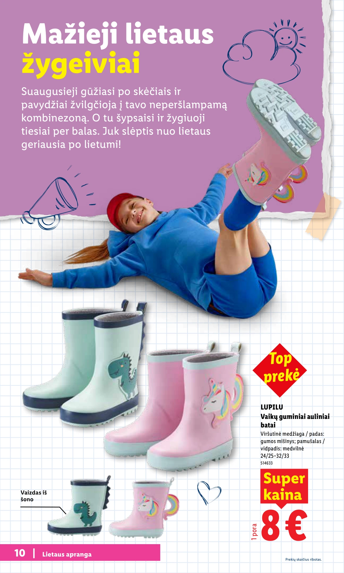 Flyer page 10
