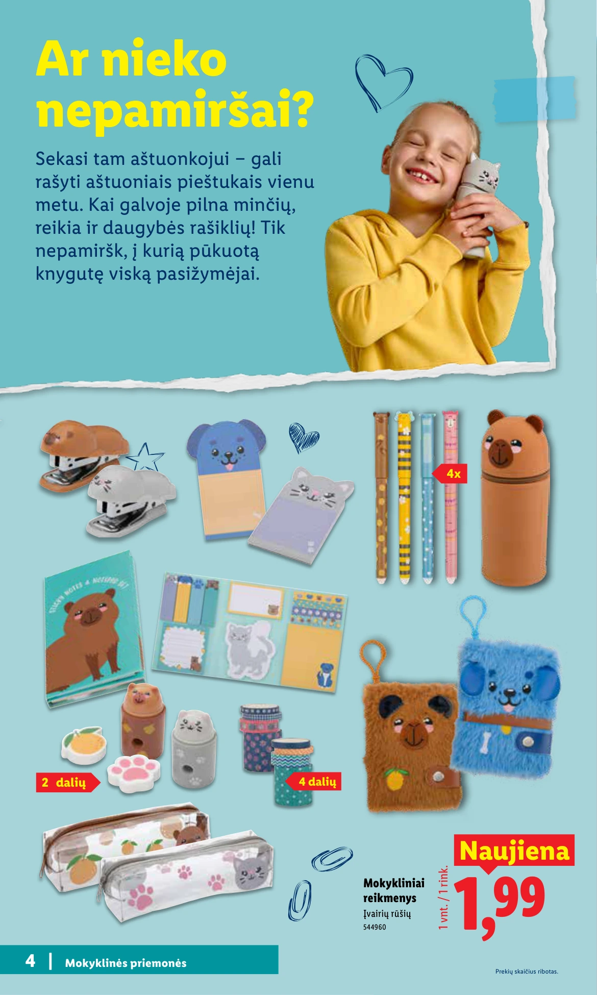 Flyer page 4