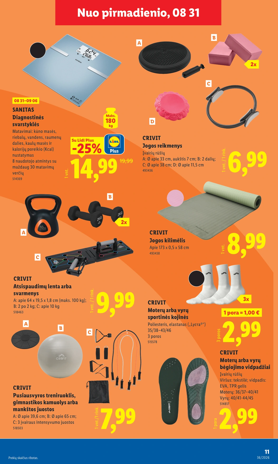 Flyer page 11