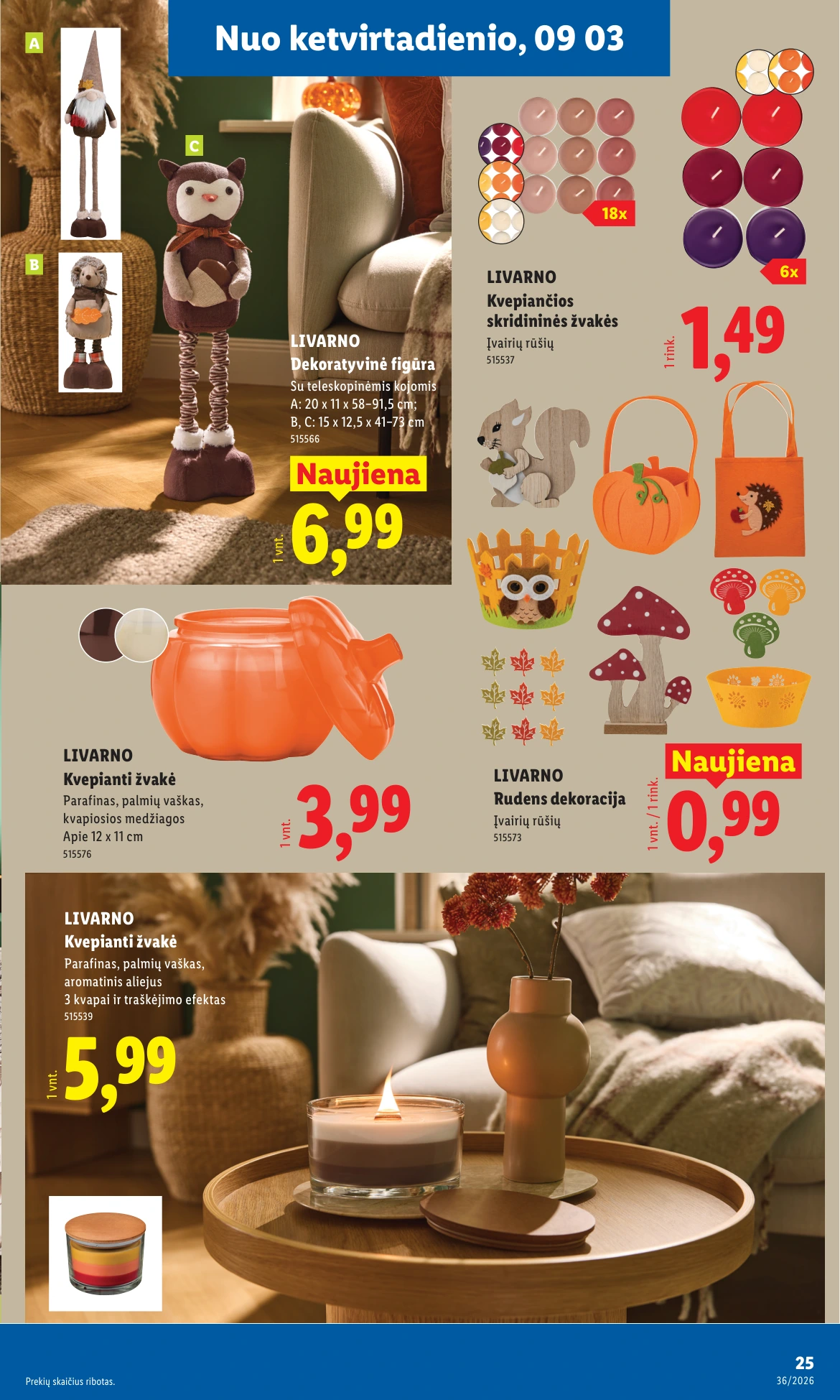 Flyer page 25