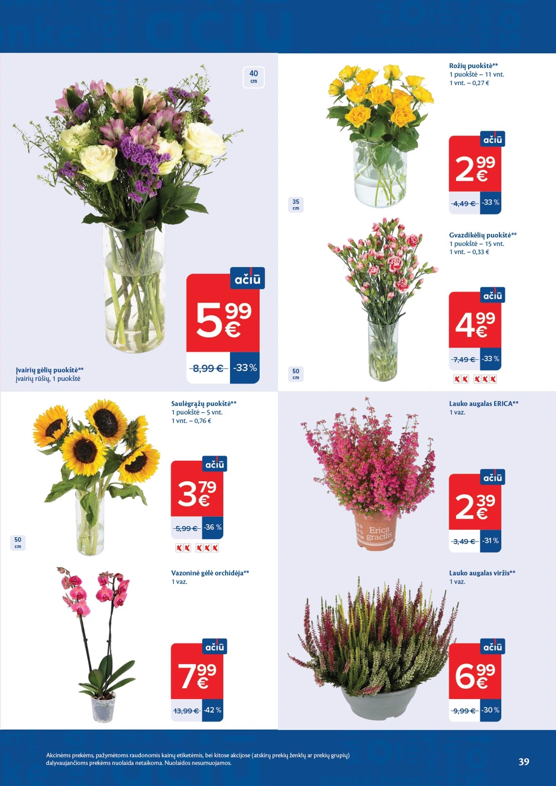 Flyer page 39