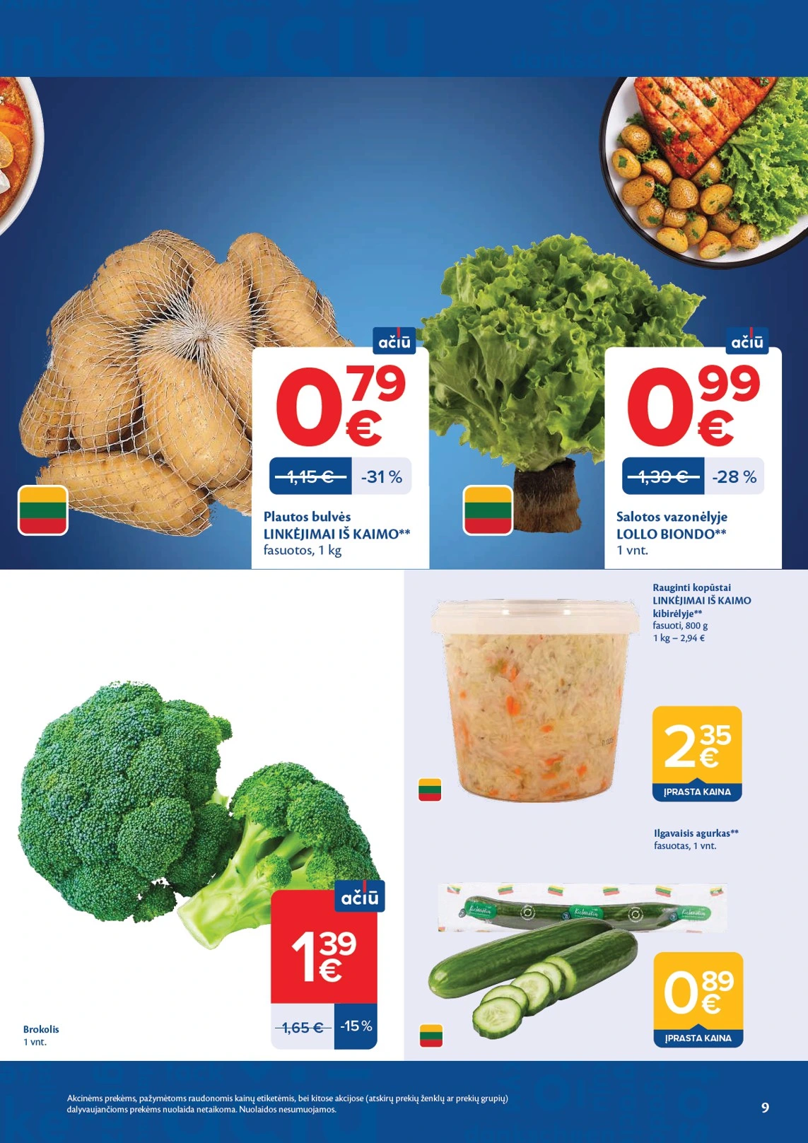 Flyer page 9
