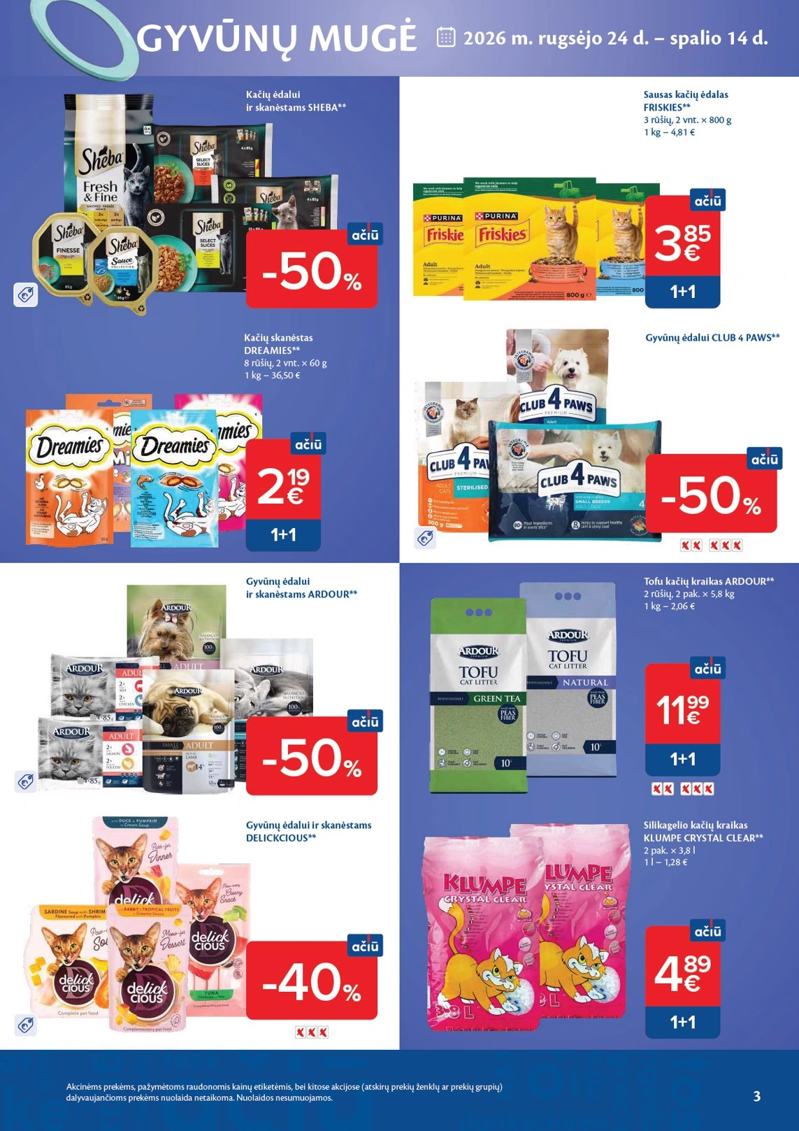 Flyer page 3