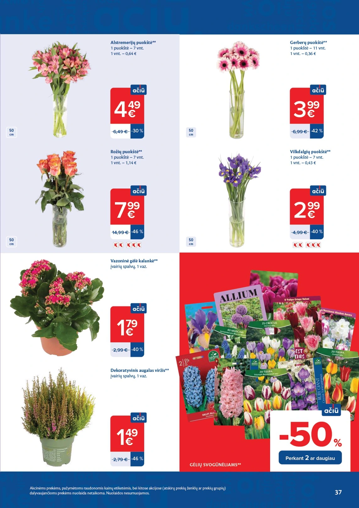 Flyer page 37
