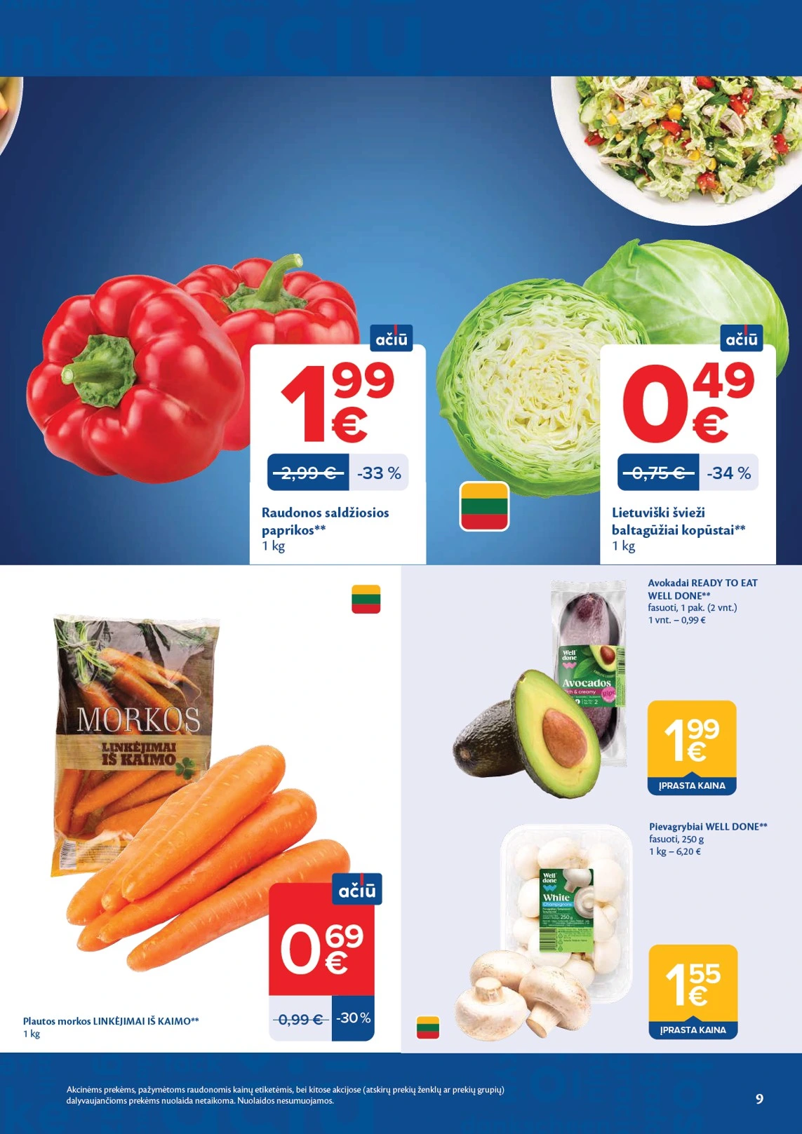Flyer page 9