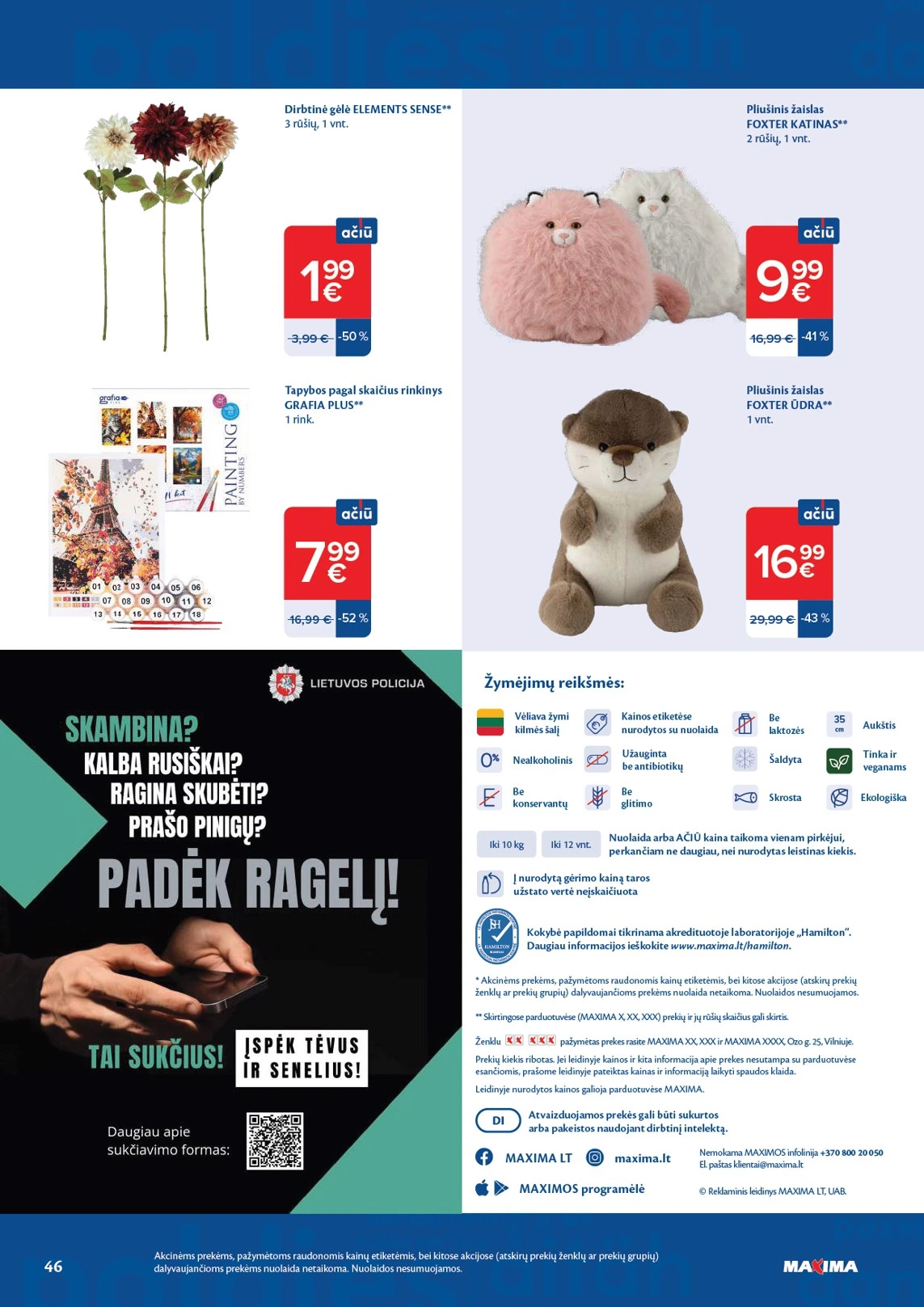 Flyer page 46