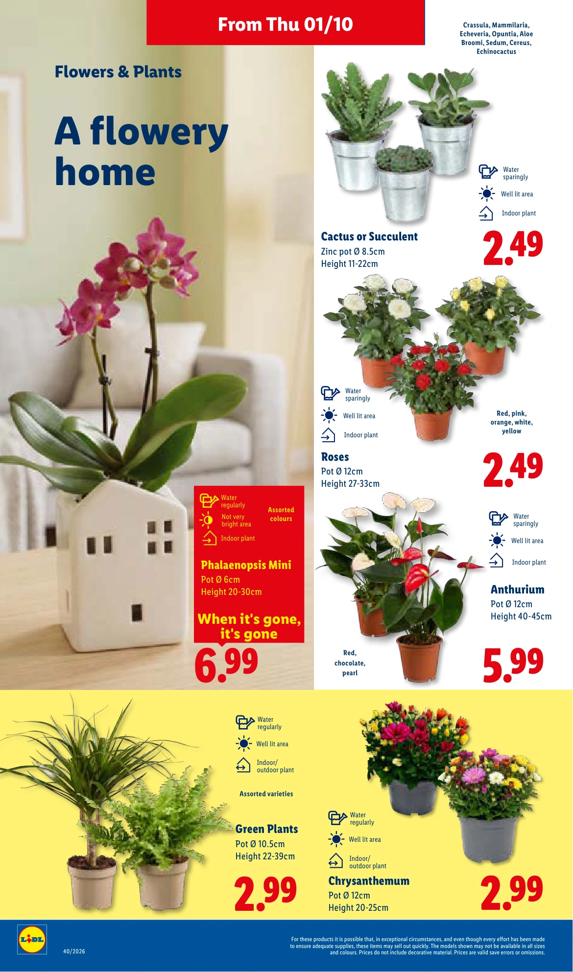 Flyer page 24