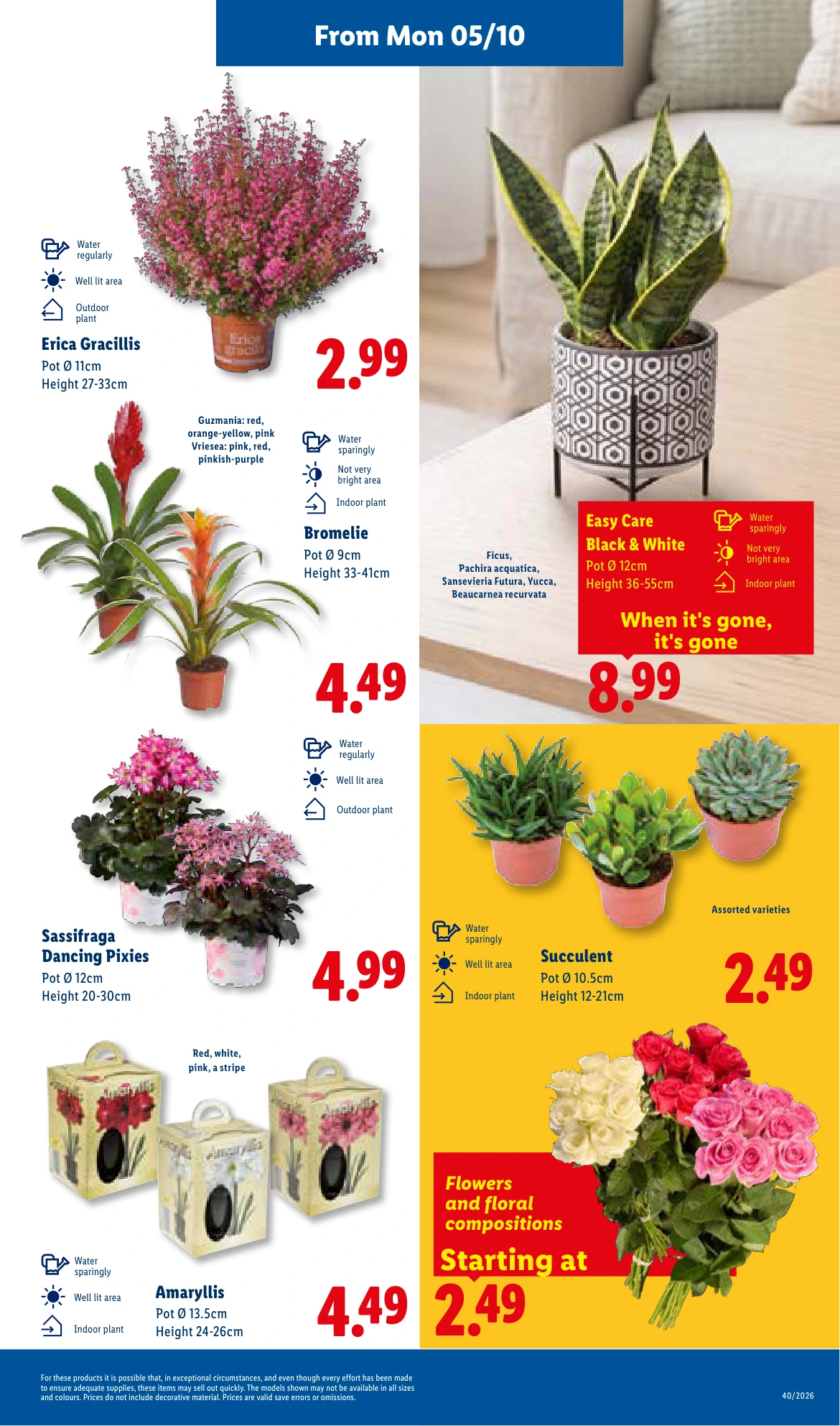 Flyer page 25