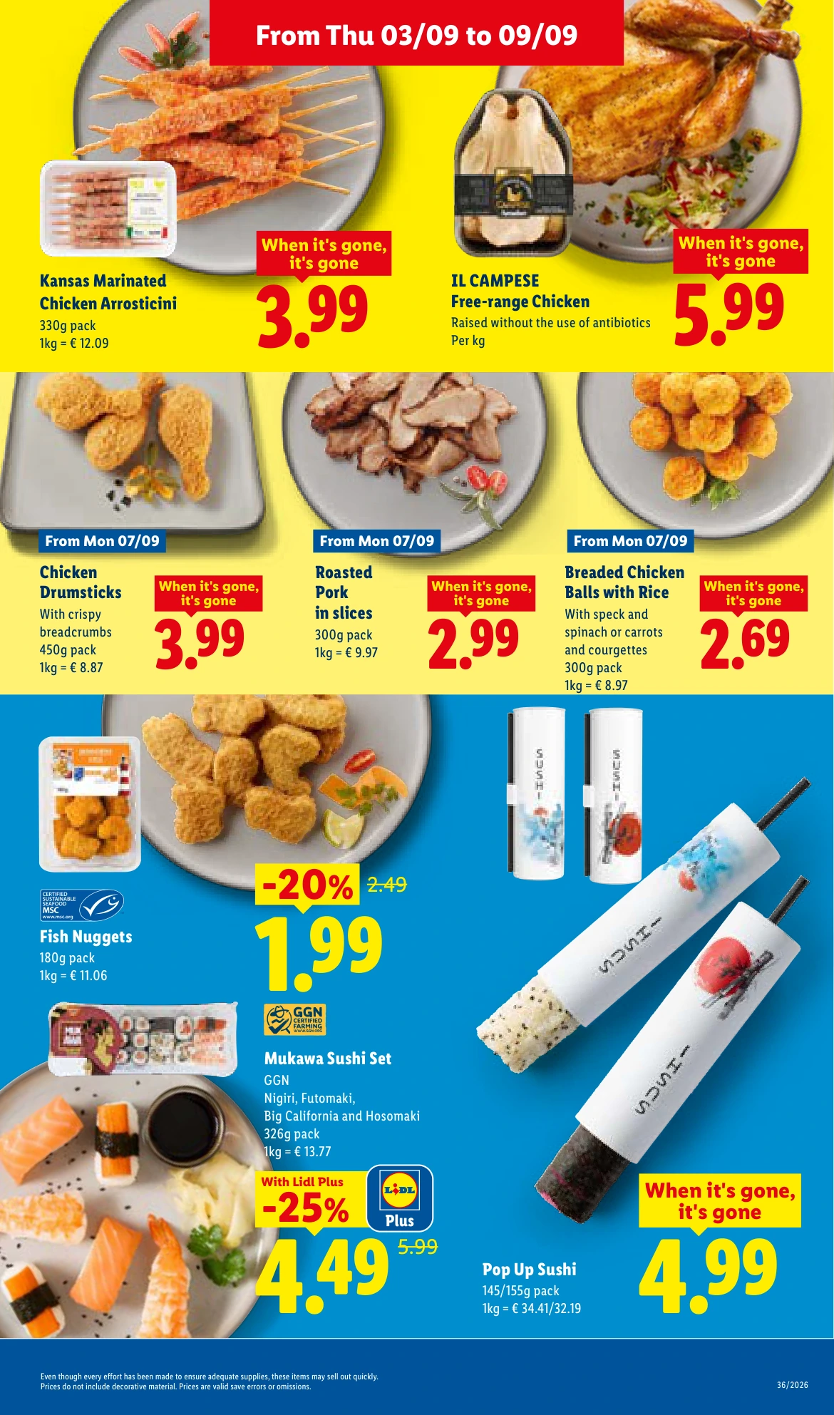 Flyer page 13