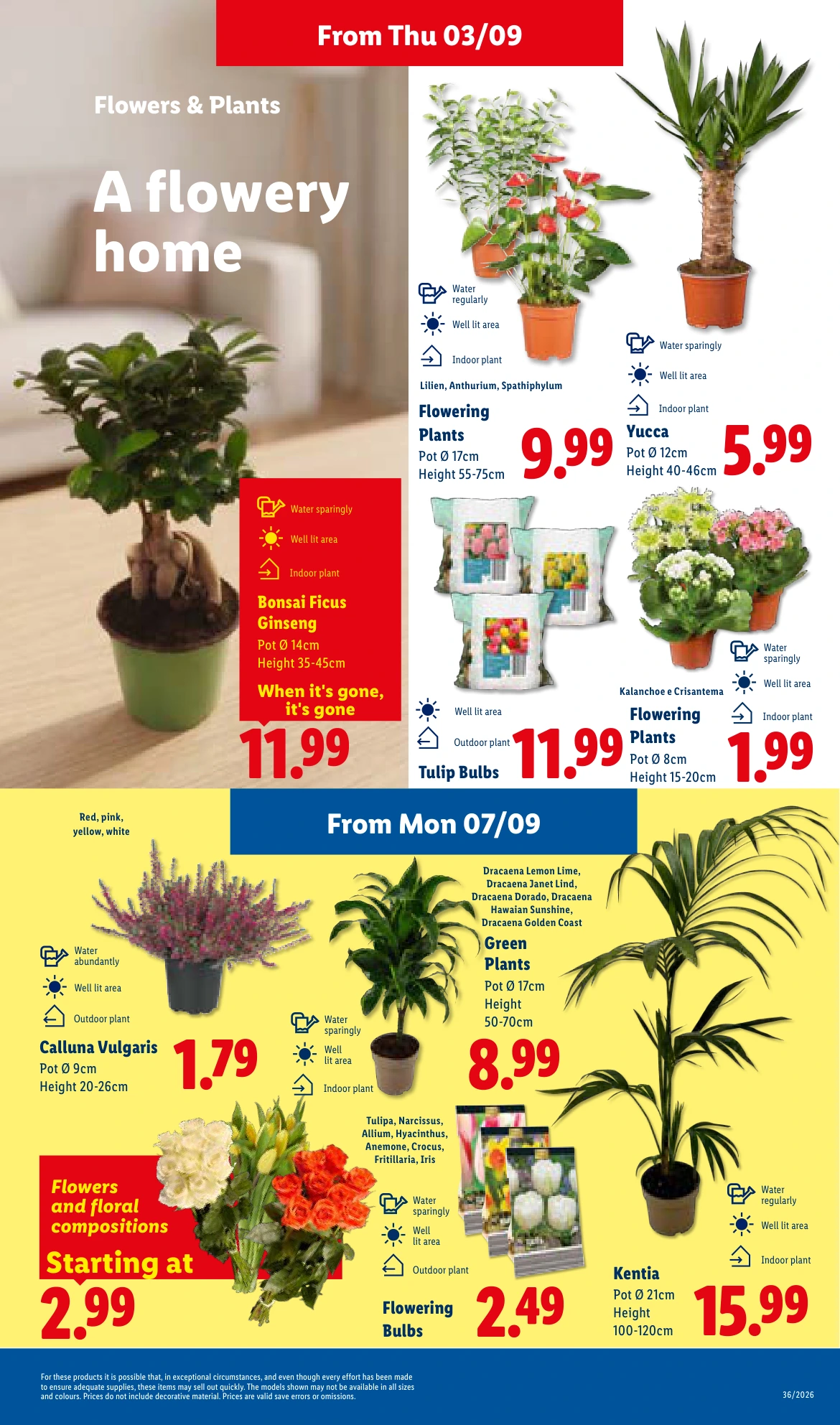 Flyer page 7