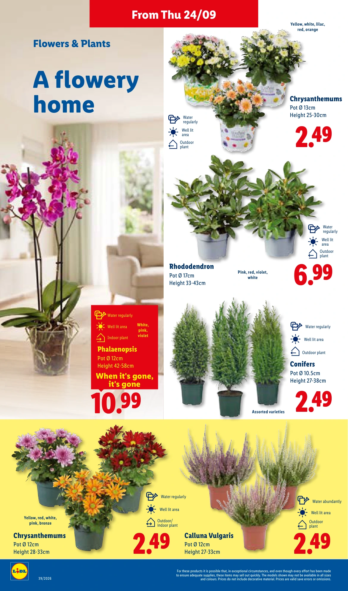 Flyer page 32