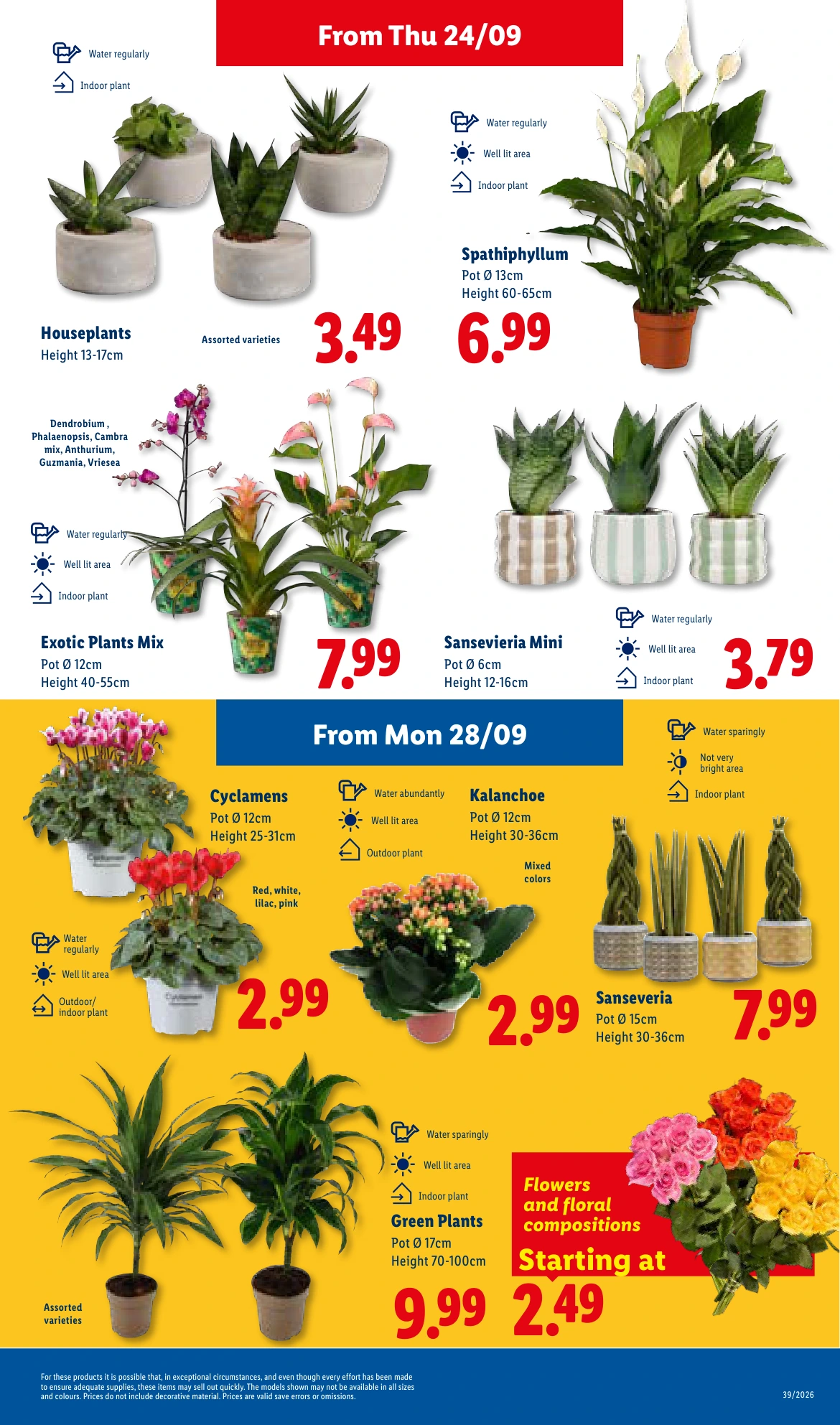 Flyer page 33