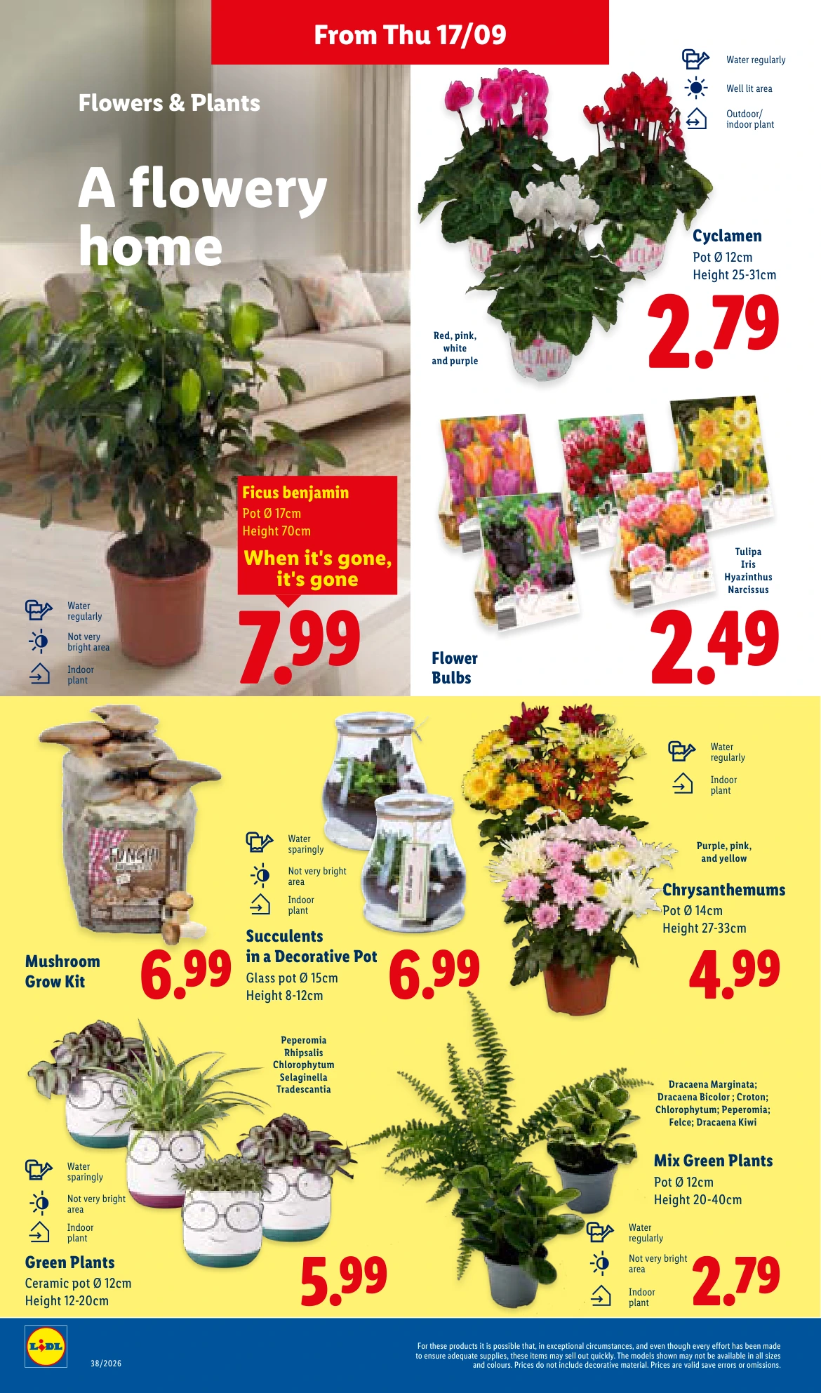 Flyer page 24
