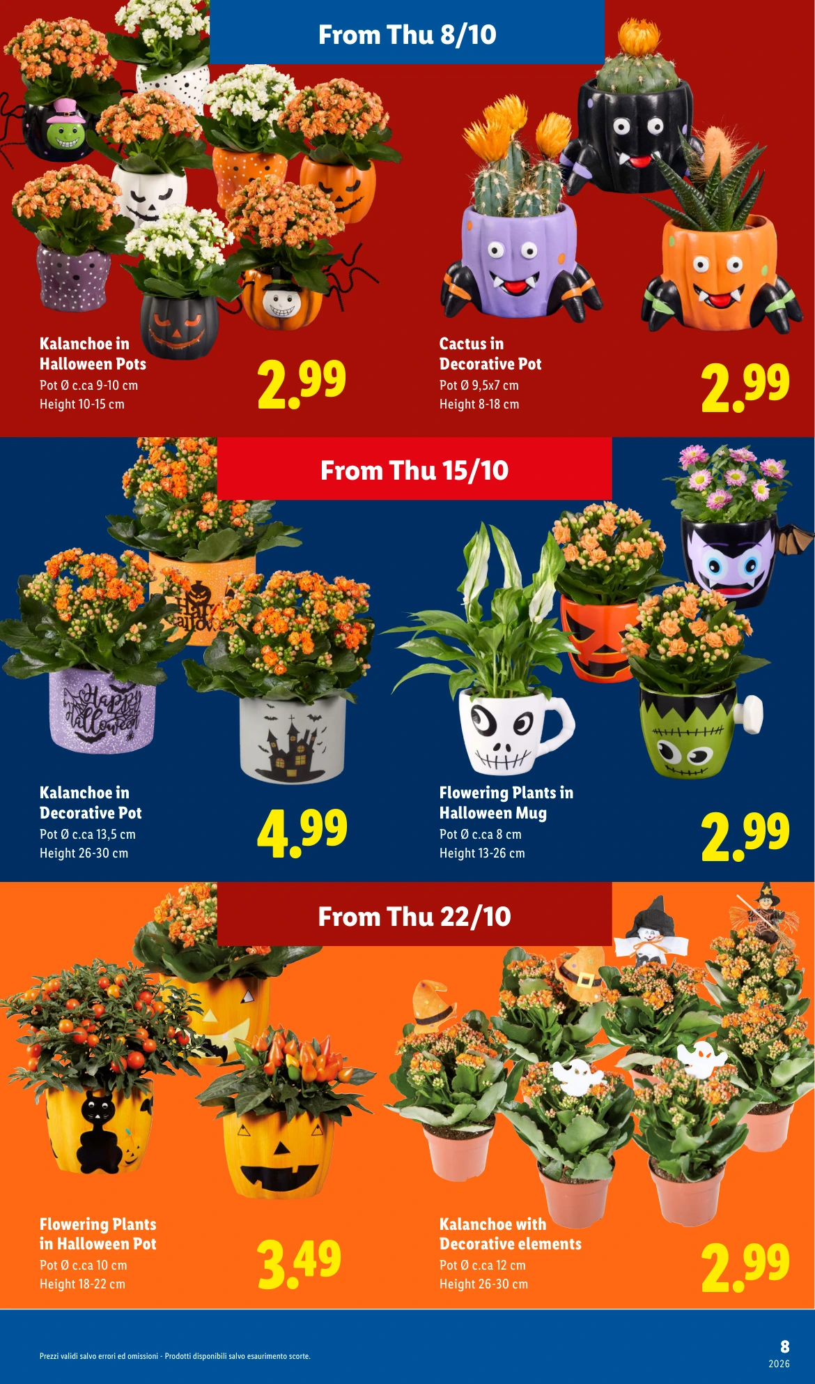 Flyer page 17