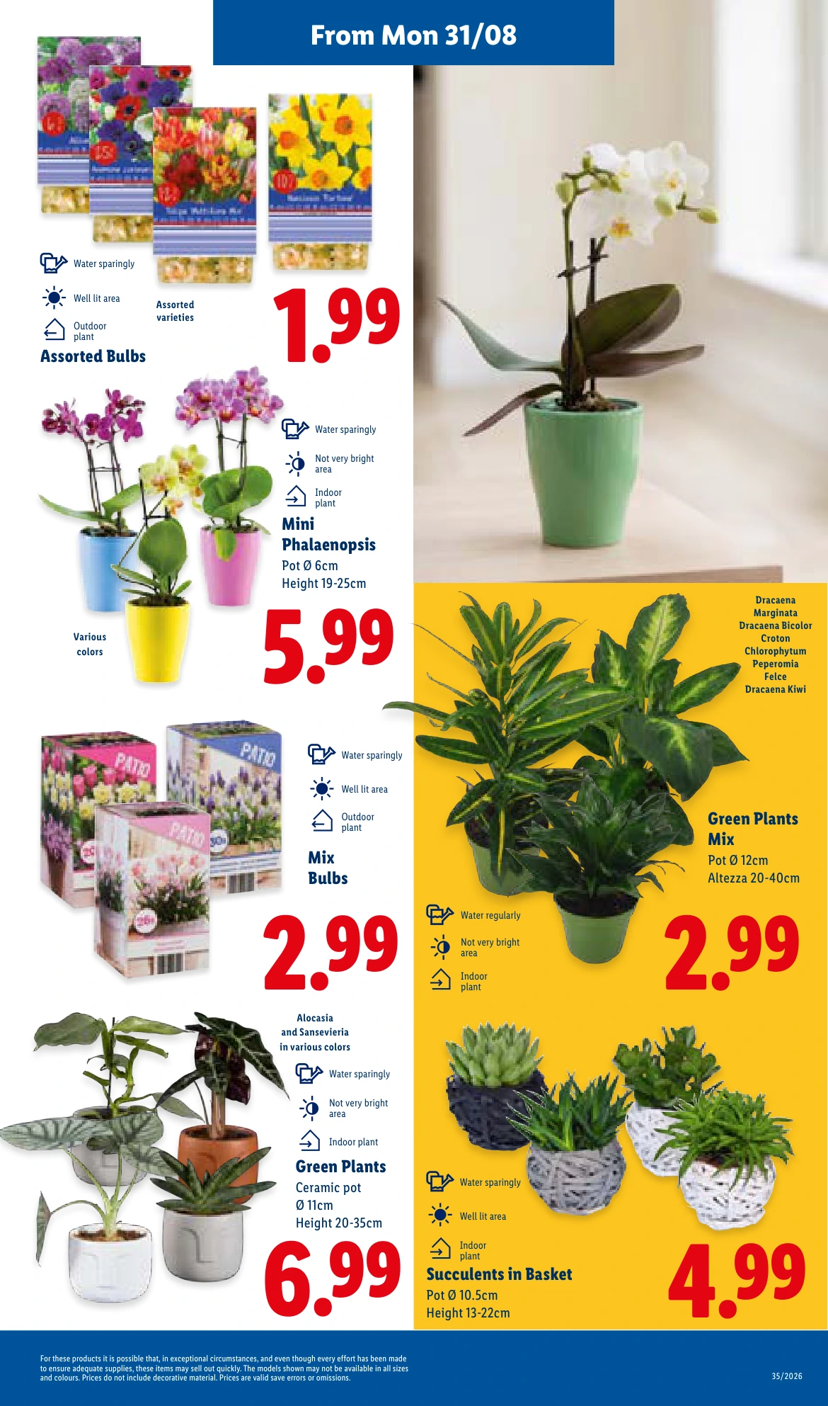 Flyer page 23