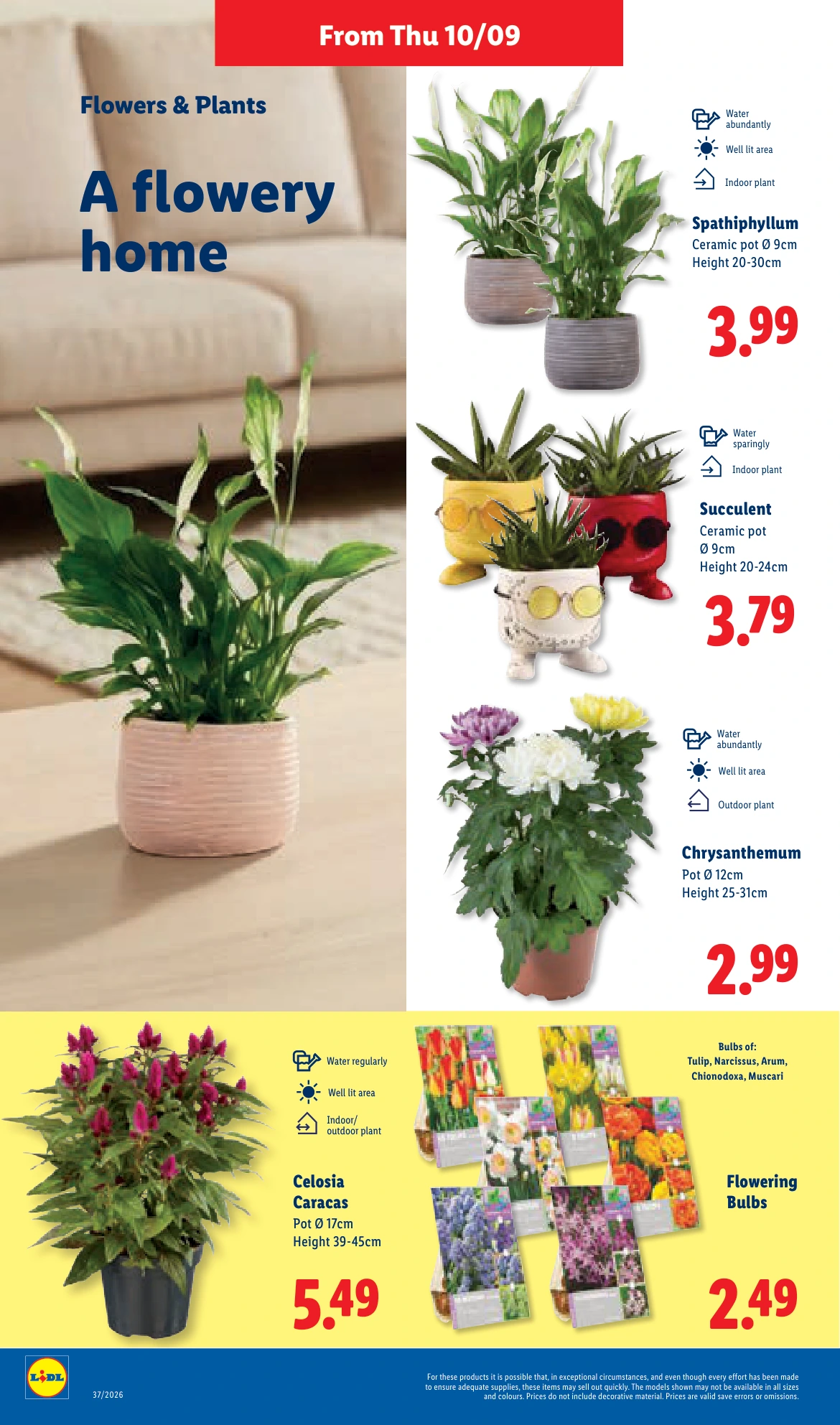 Flyer page 22