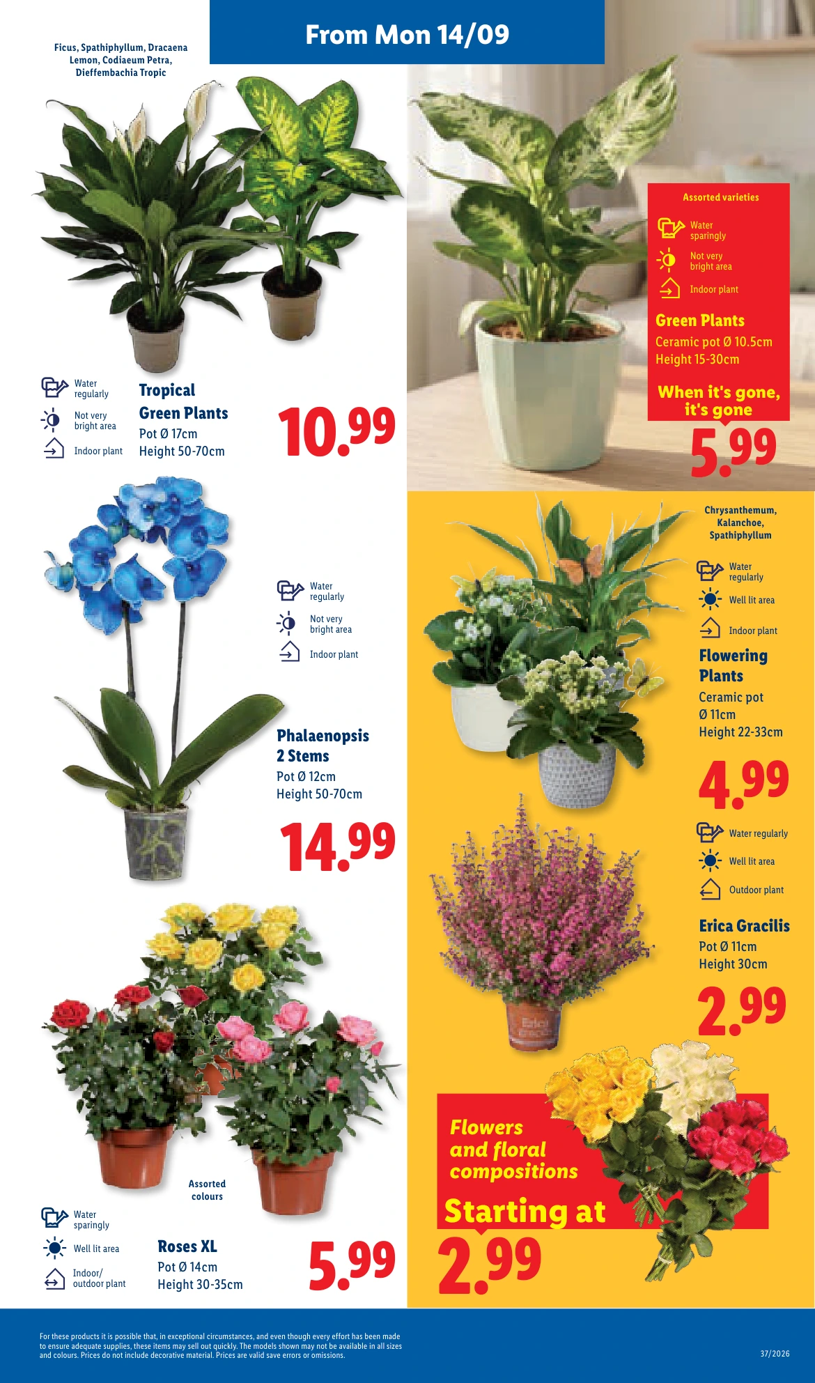 Flyer page 23