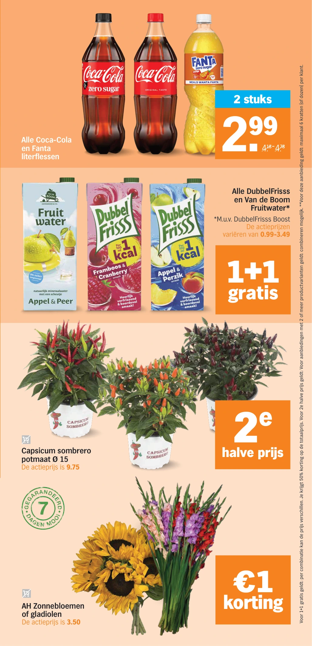 Flyer page 31