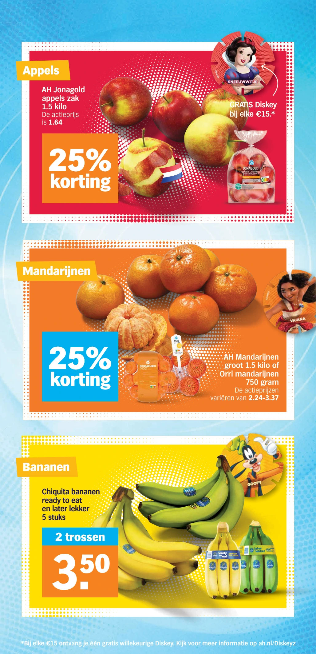 Flyer page 5