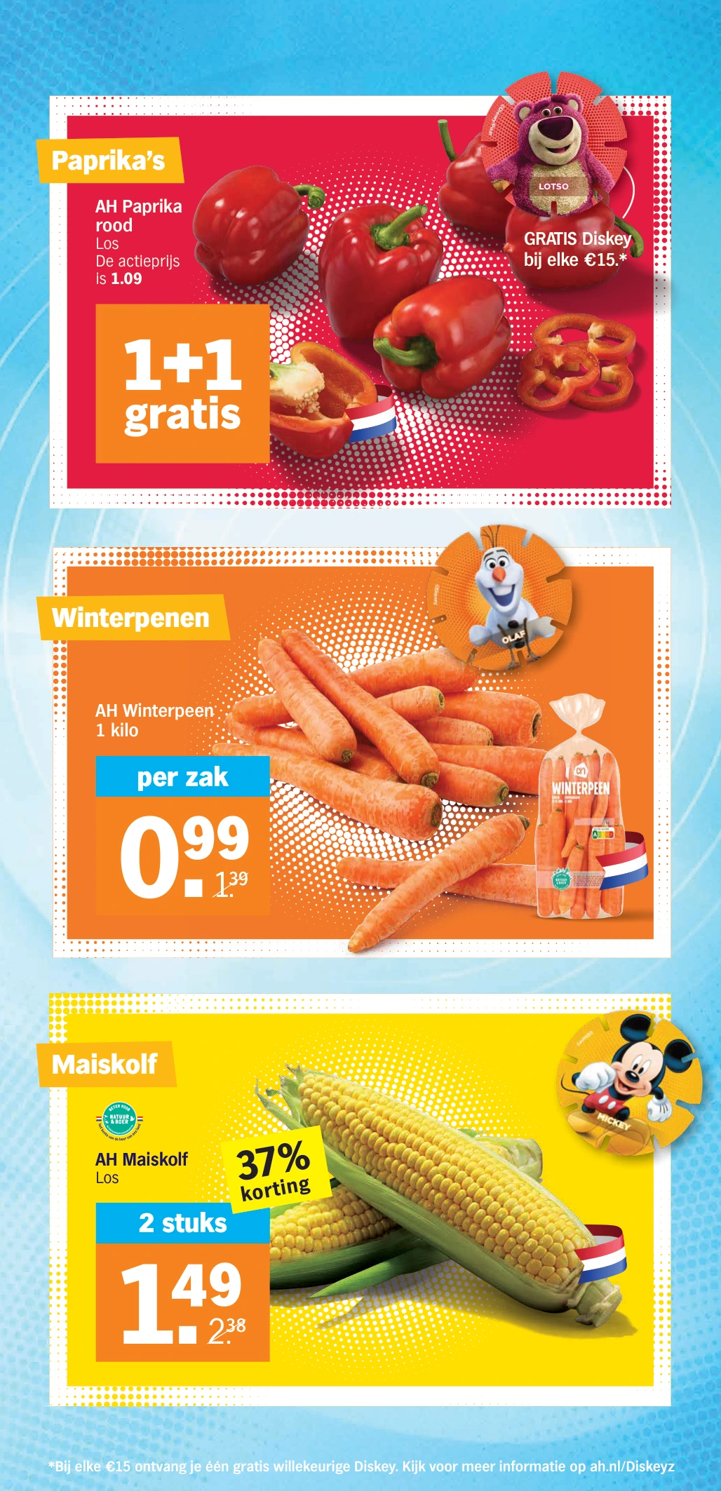 Flyer page 7