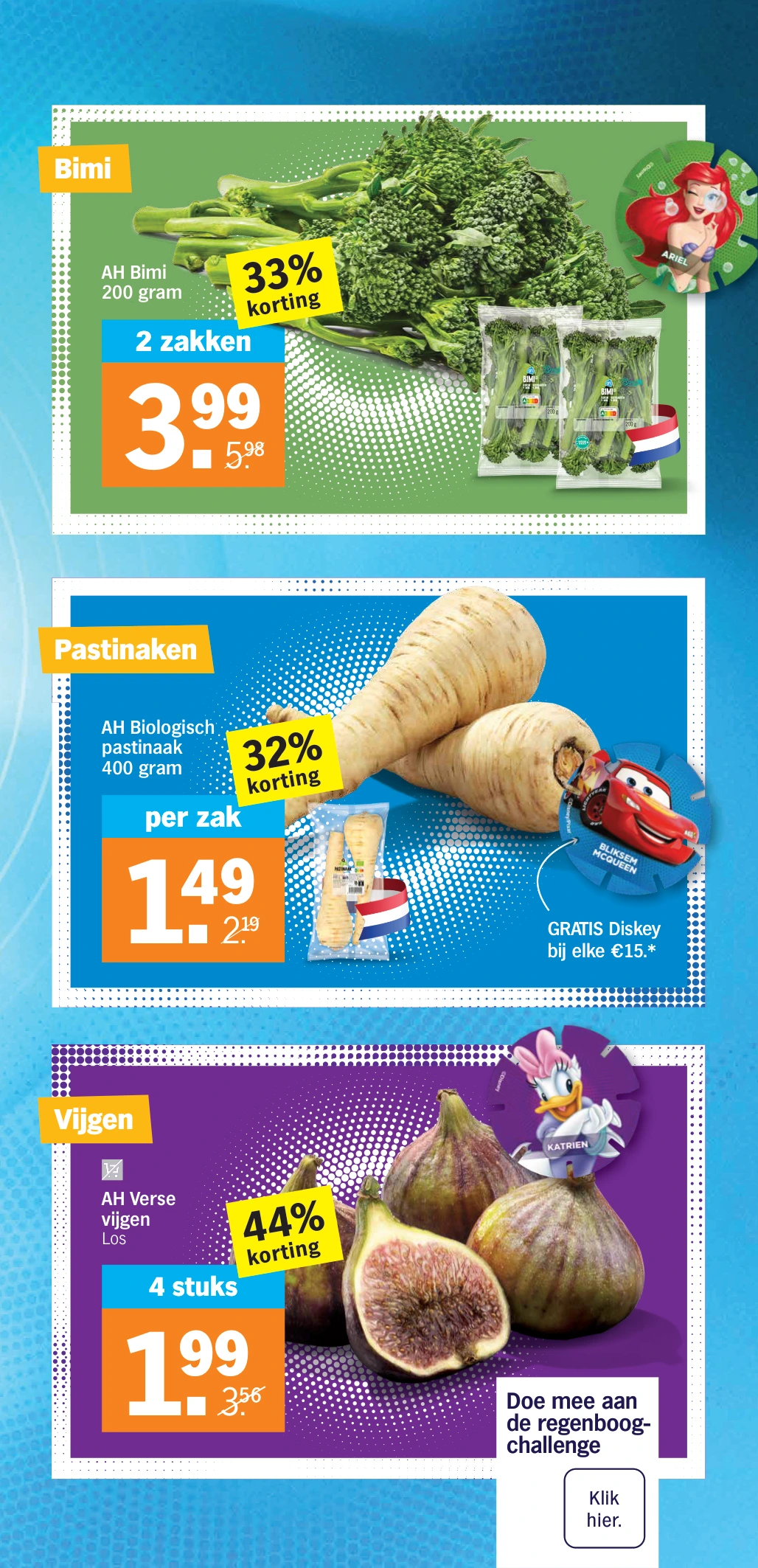 Flyer page 8