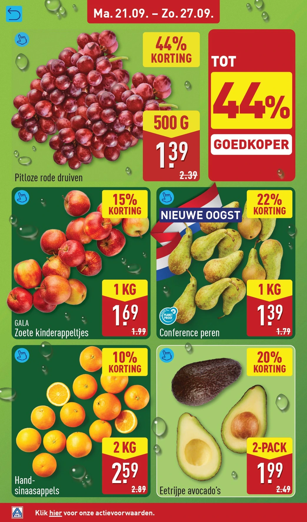 Flyer page 4