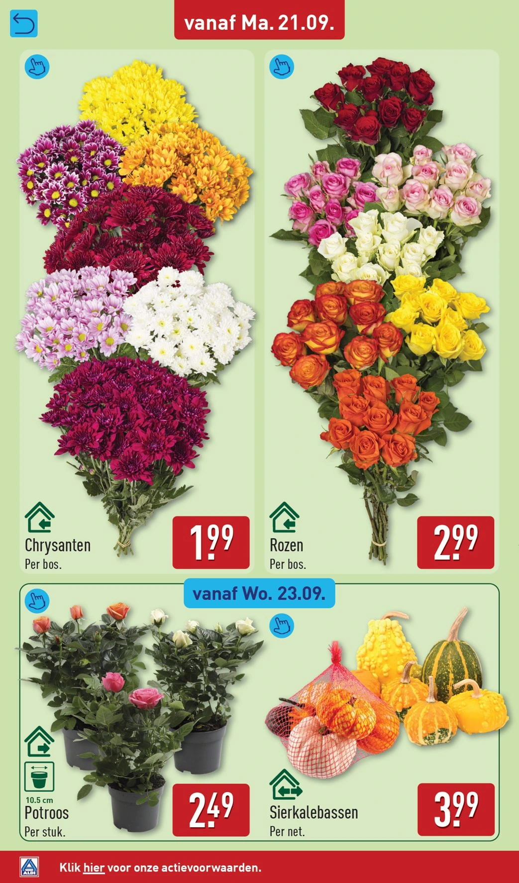 Flyer page 44