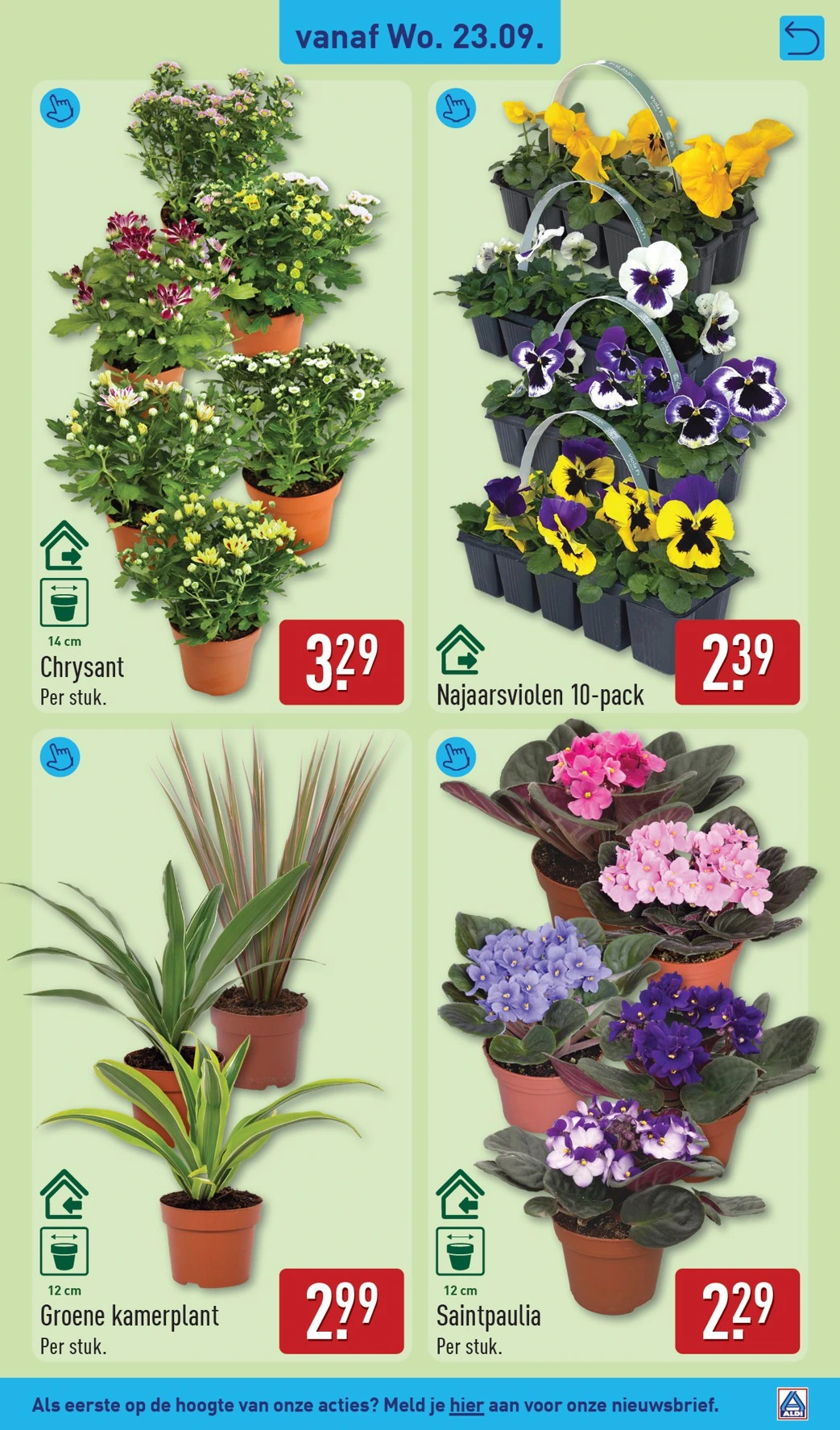 Flyer page 45