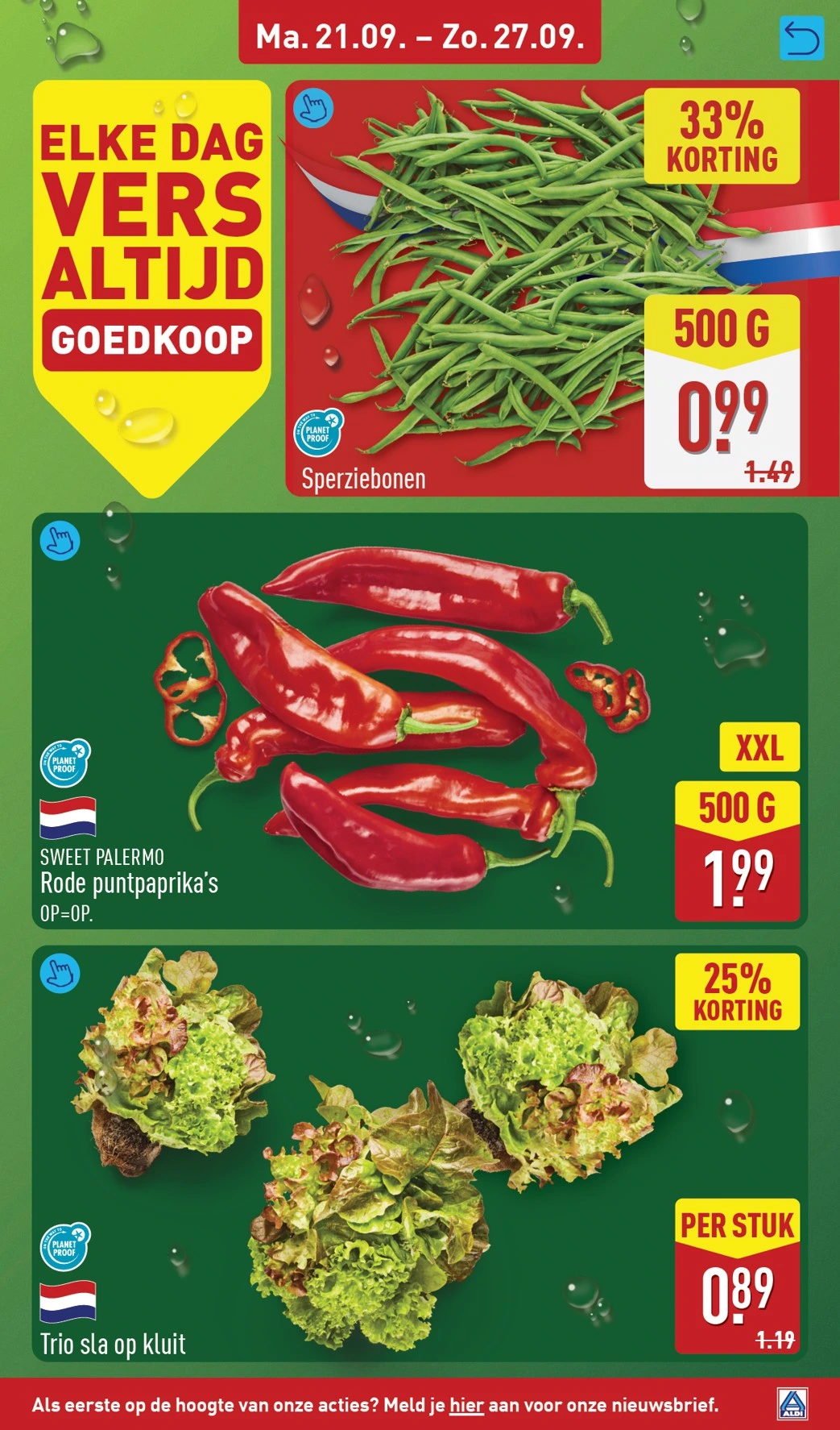 Flyer page 5