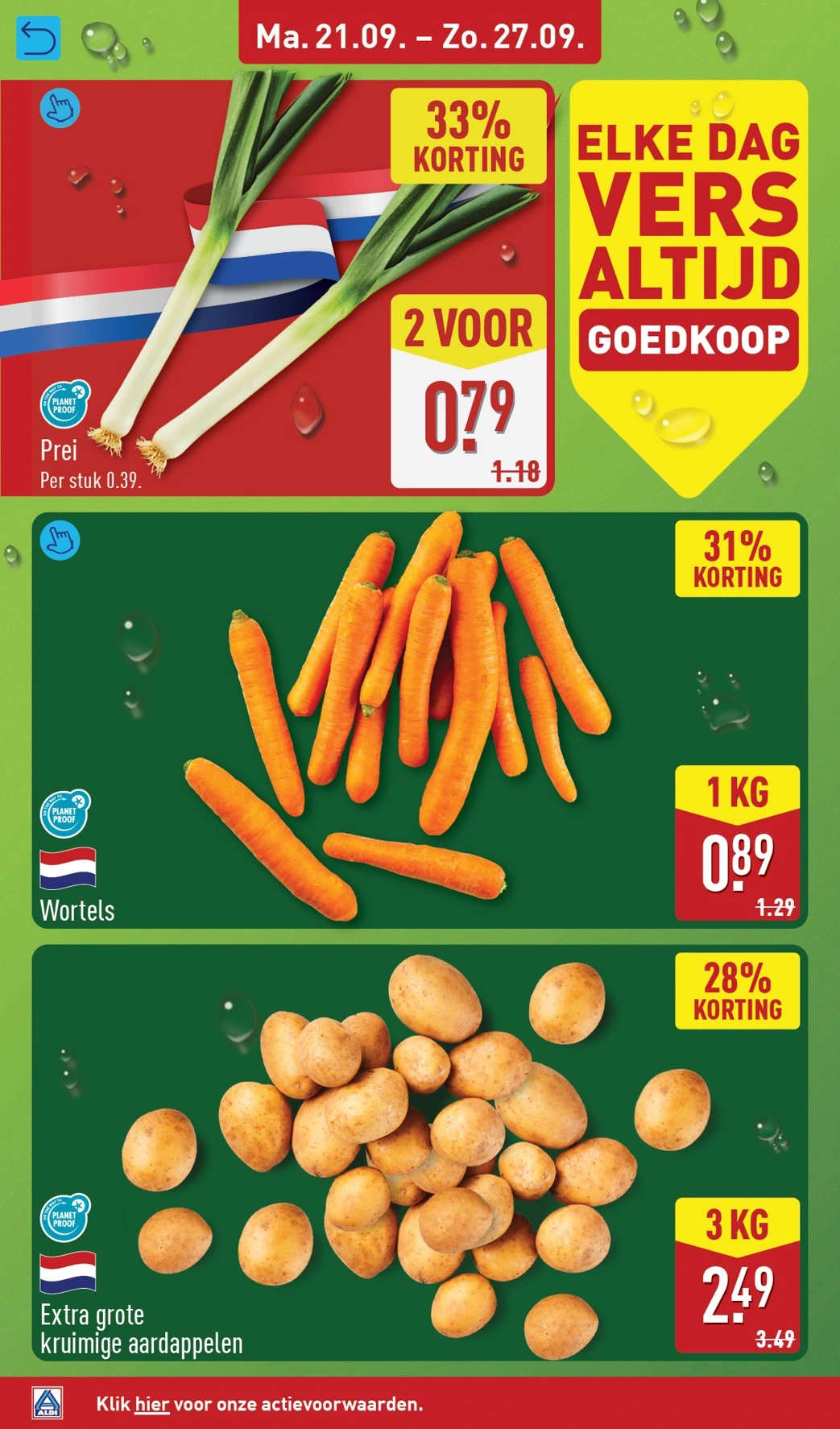 Flyer page 6