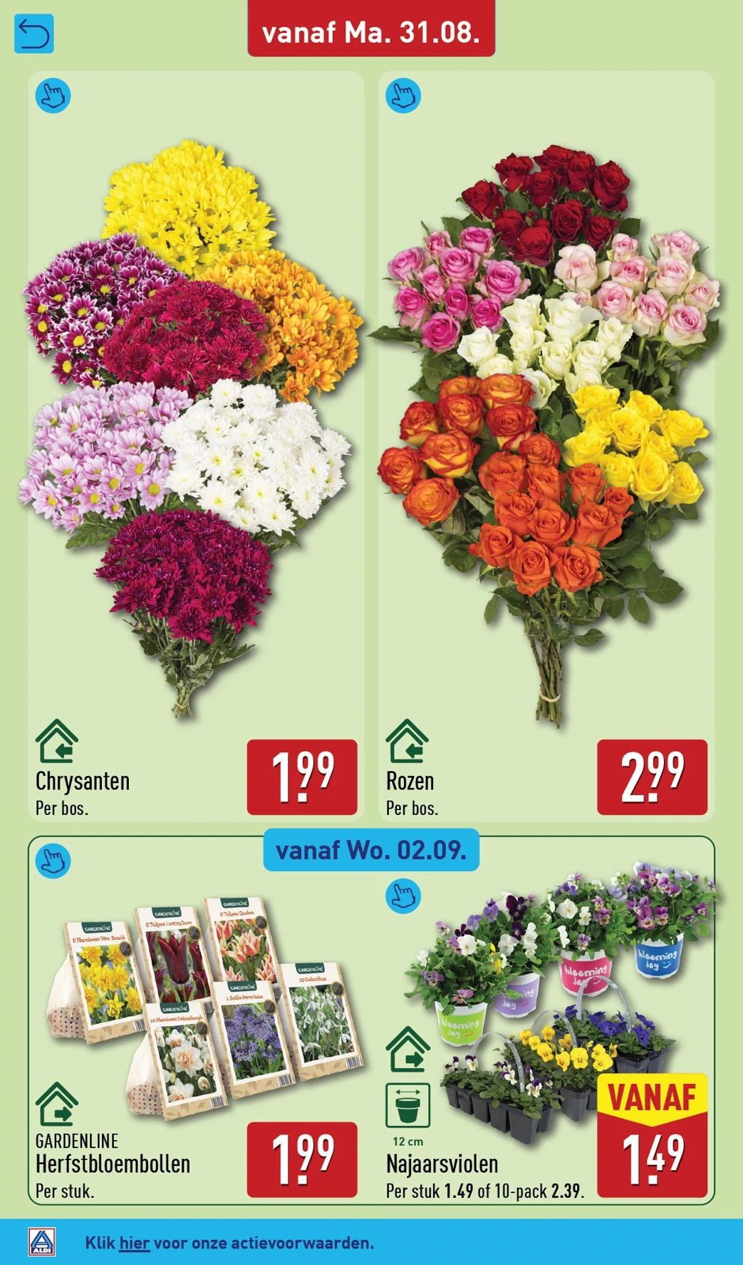 Flyer page 54